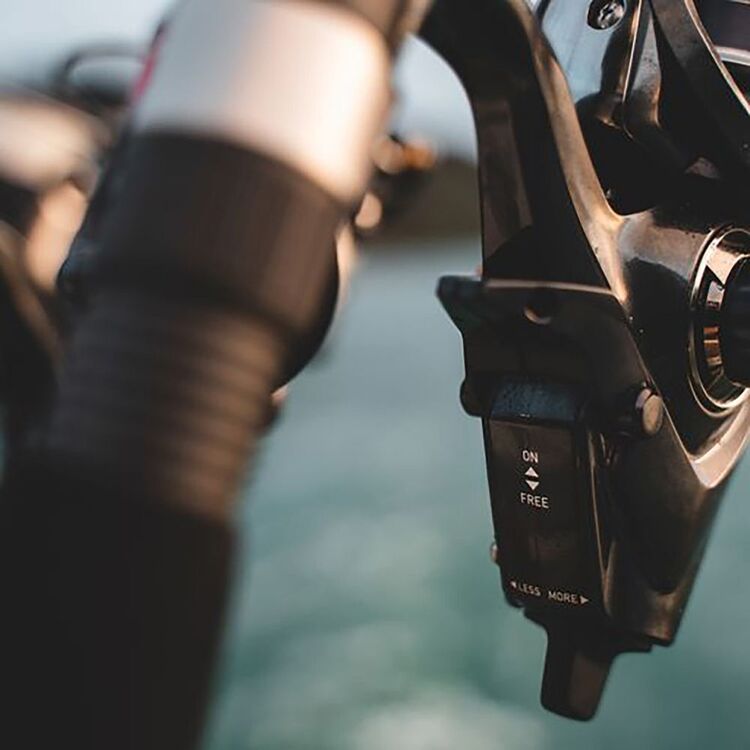 Daiwa Free Swimmer BR 8000 Spinning Reel