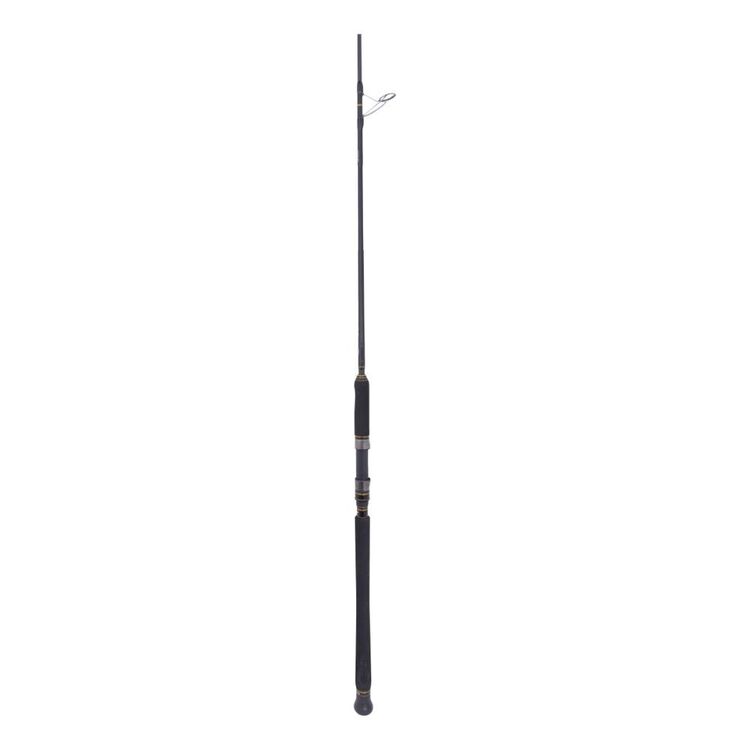 Penn Slammer 7'6" 2pc PE2-4 Spin Rod