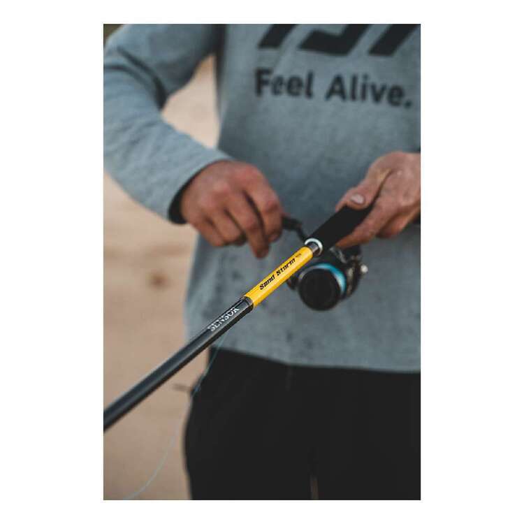 Daiwa Sensor Sandstorm 10'6" 2pc 6-10kg Surf Rod