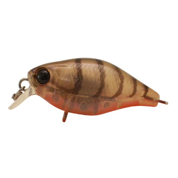 Jackall Chubby Shallow Lure Brown Suji Shrimp 38 mm