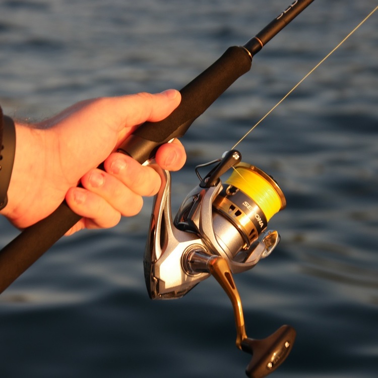 Shimano Sedona XT 6'6" 2pc 1-3kg Spin Rod