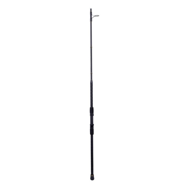Penn Allegiance III 10' 2pc 10-15kg Surf Rod