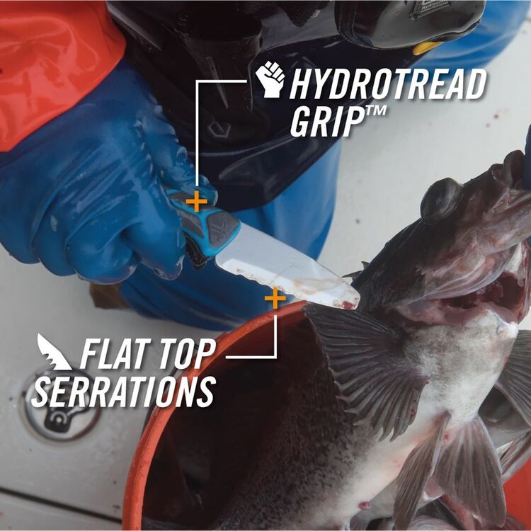 Gerber Salt RX Crossriver Combo Knife Blue