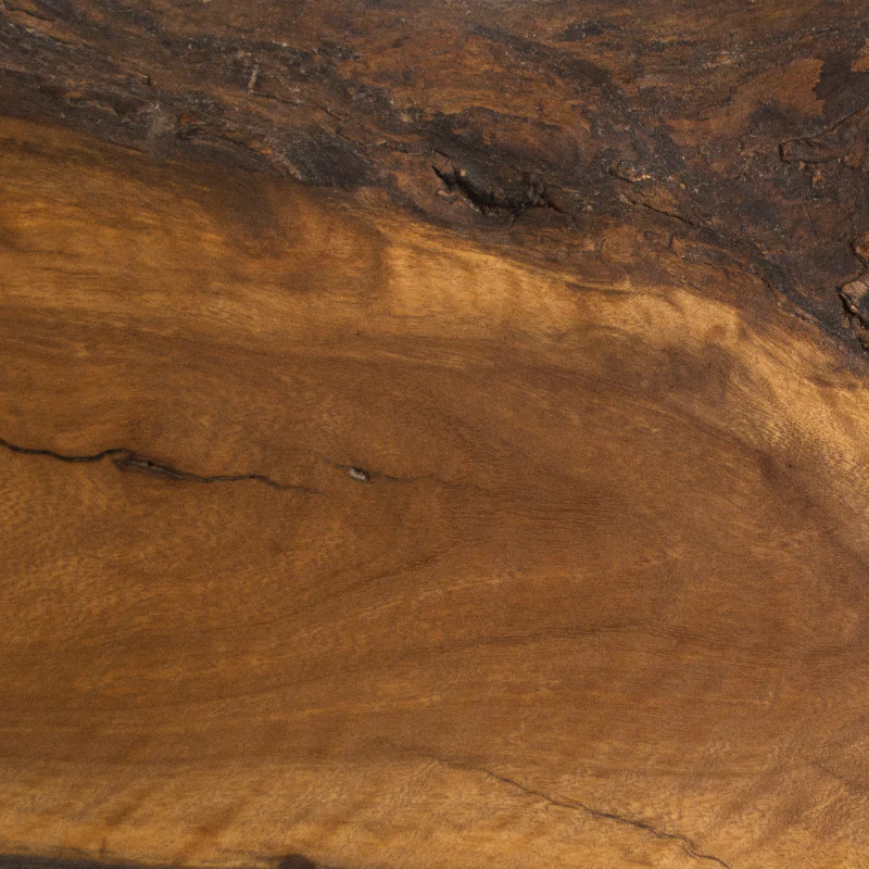 Salvaged Buttonwood Live Edge Knife Holder
