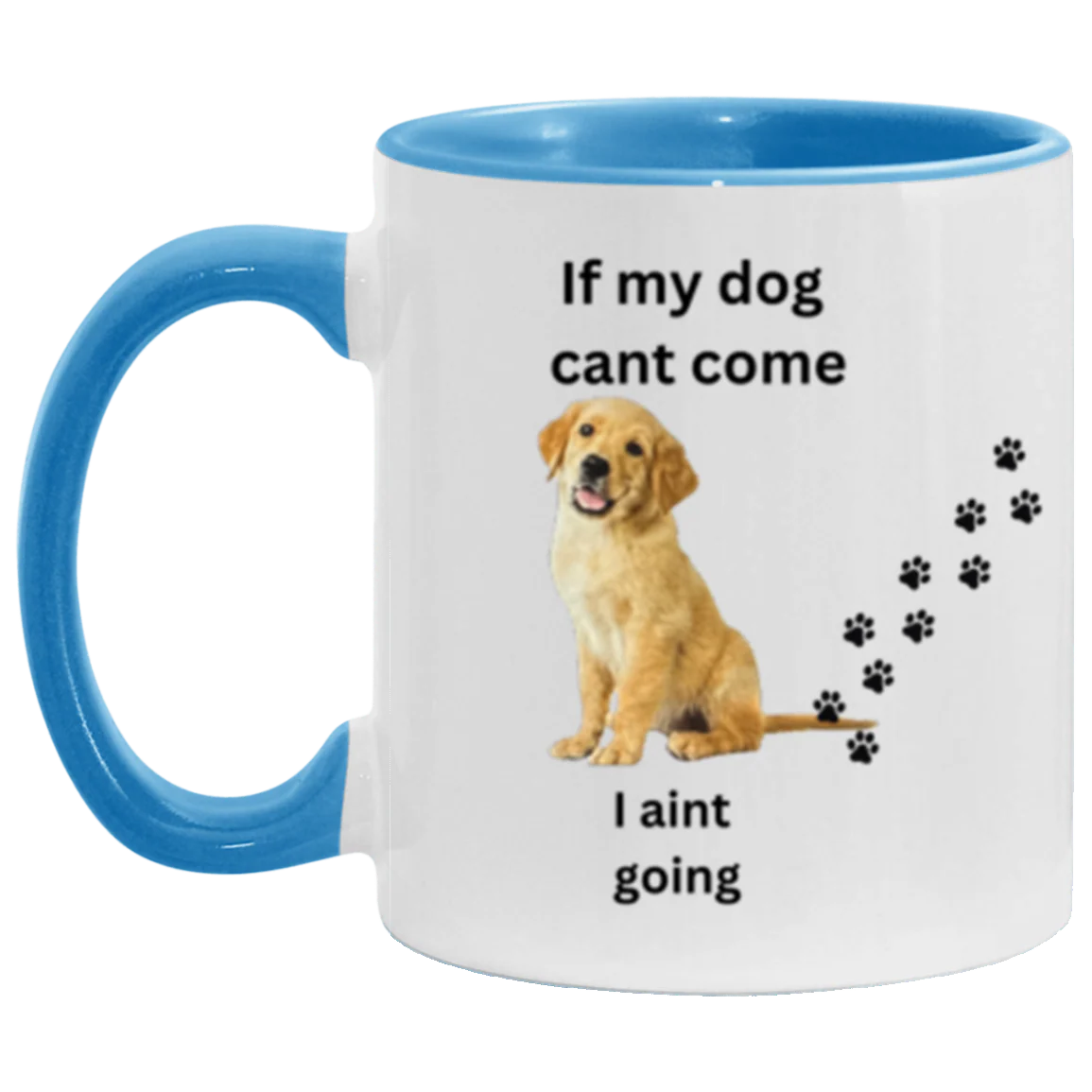 DOUBLE SIDED ACCENT MUG 11oz