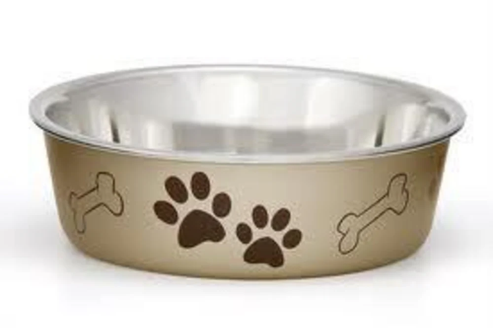 Dog Bowls & Feeders