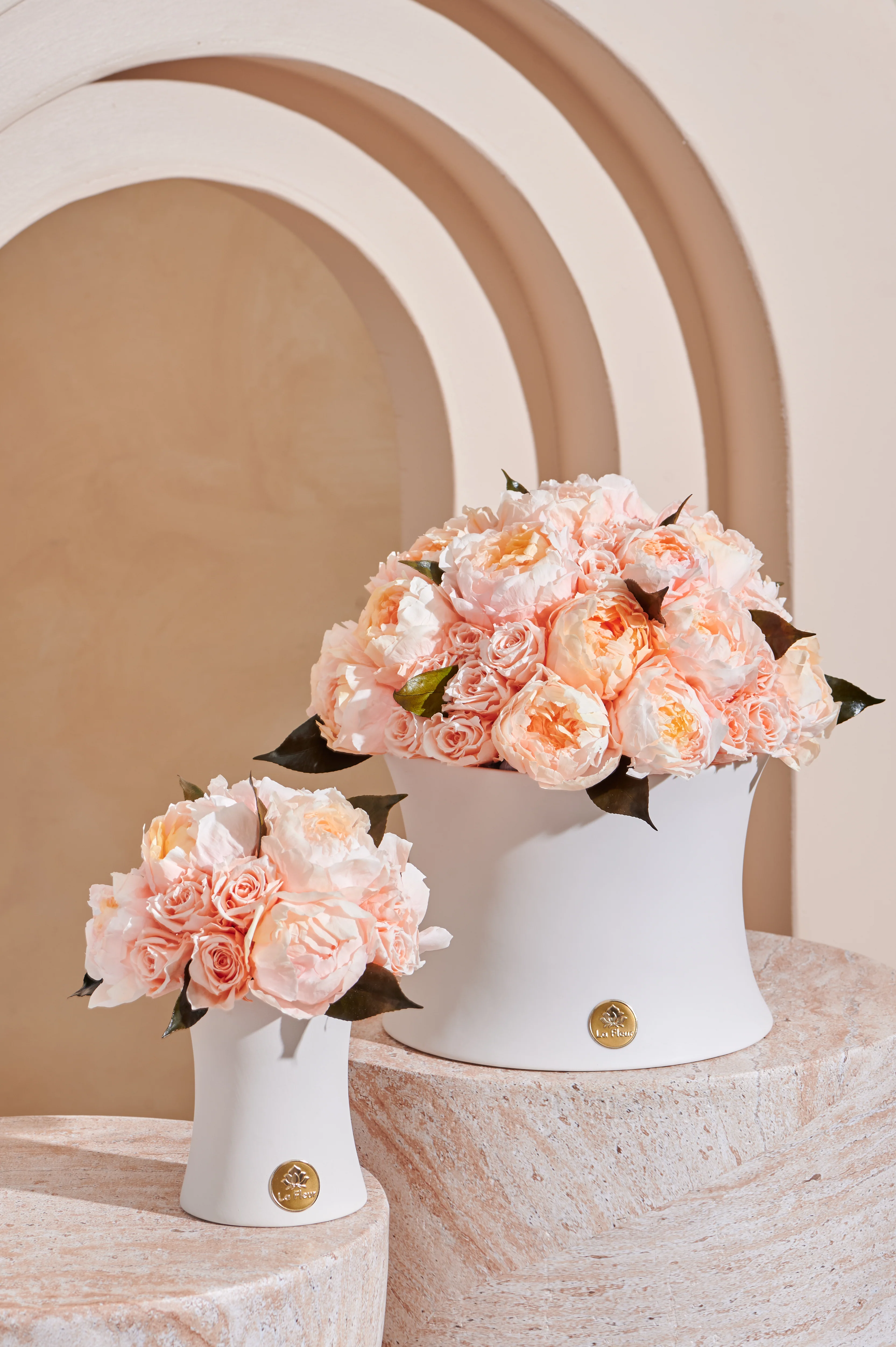 Creme Peony + Rose Dôme