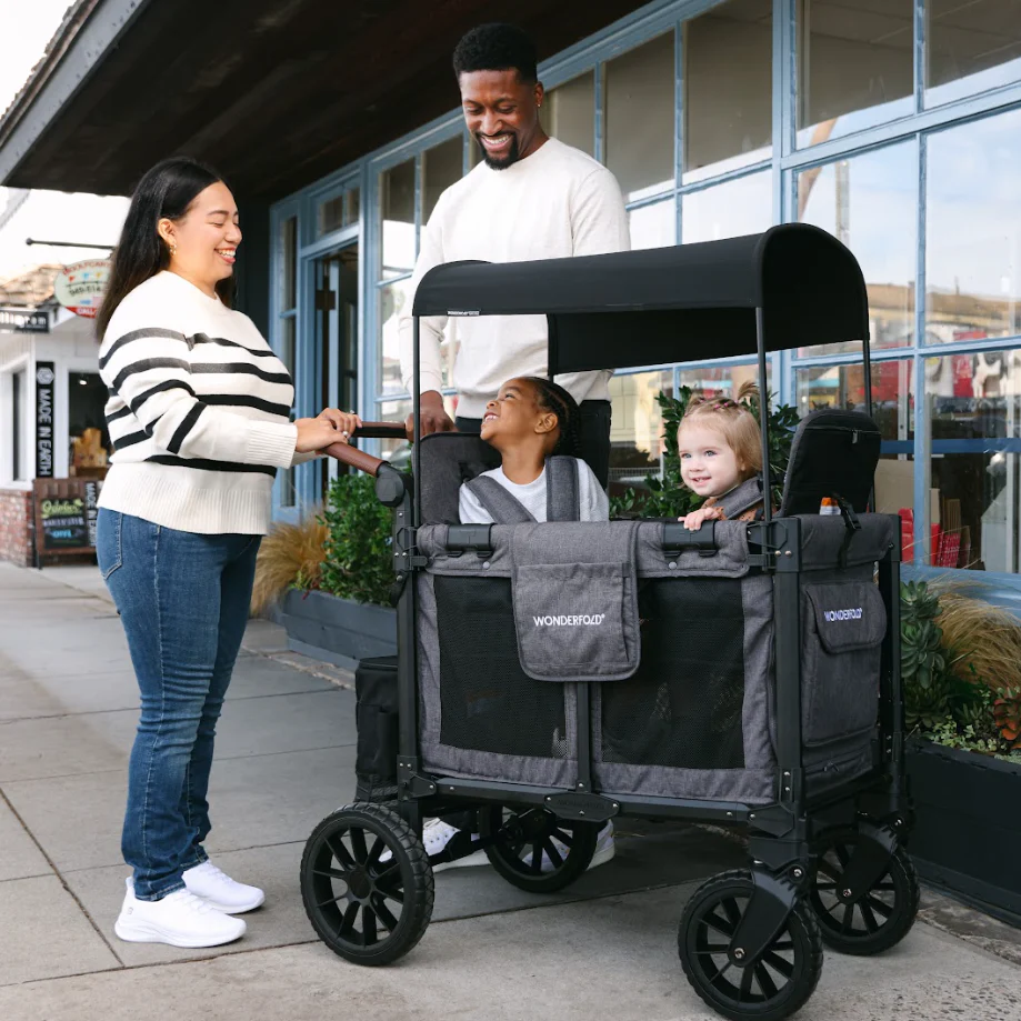 W2 Luxe Pro Double Seater Stroller Wagon (2 Seater)