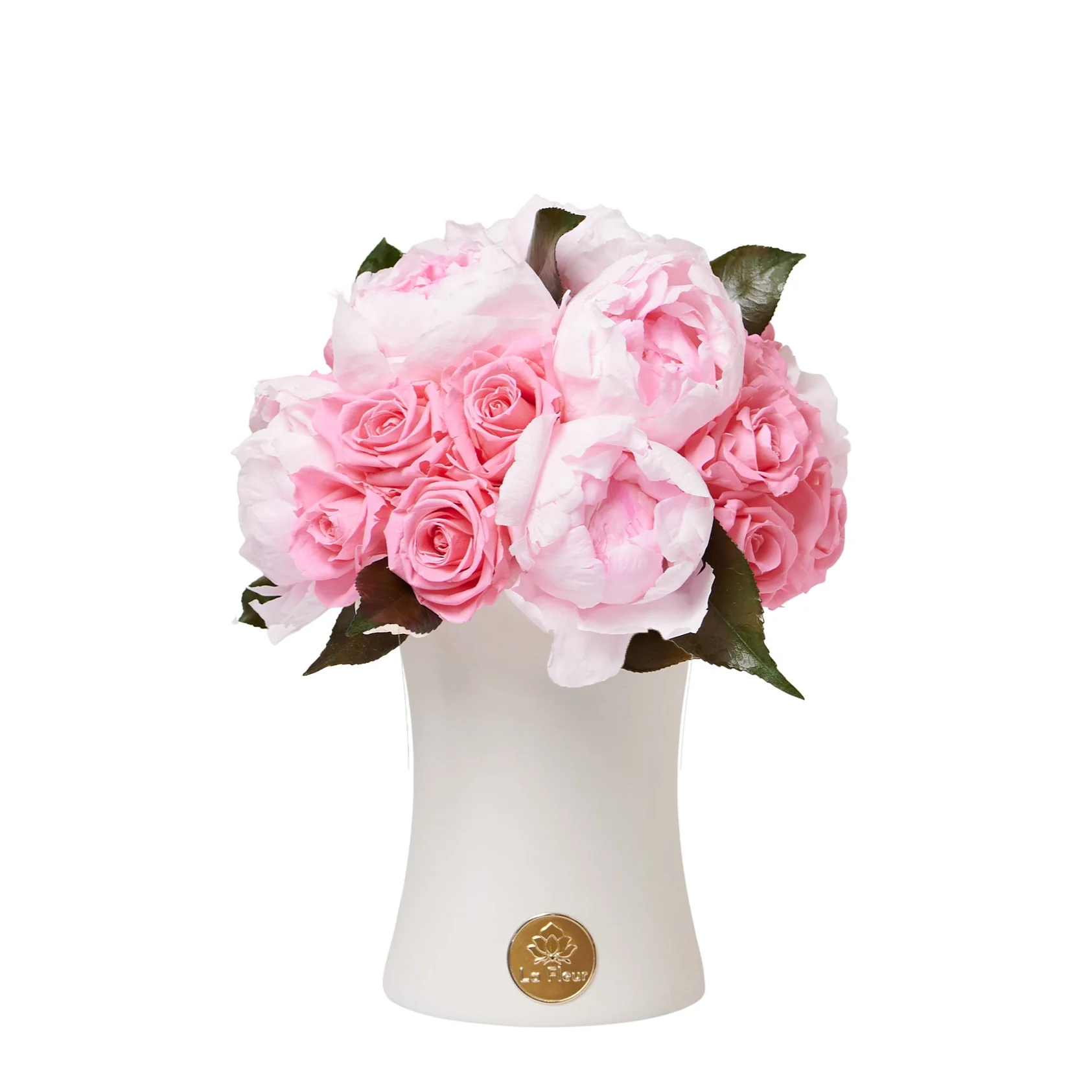 Creme Peony + Rose Dôme
