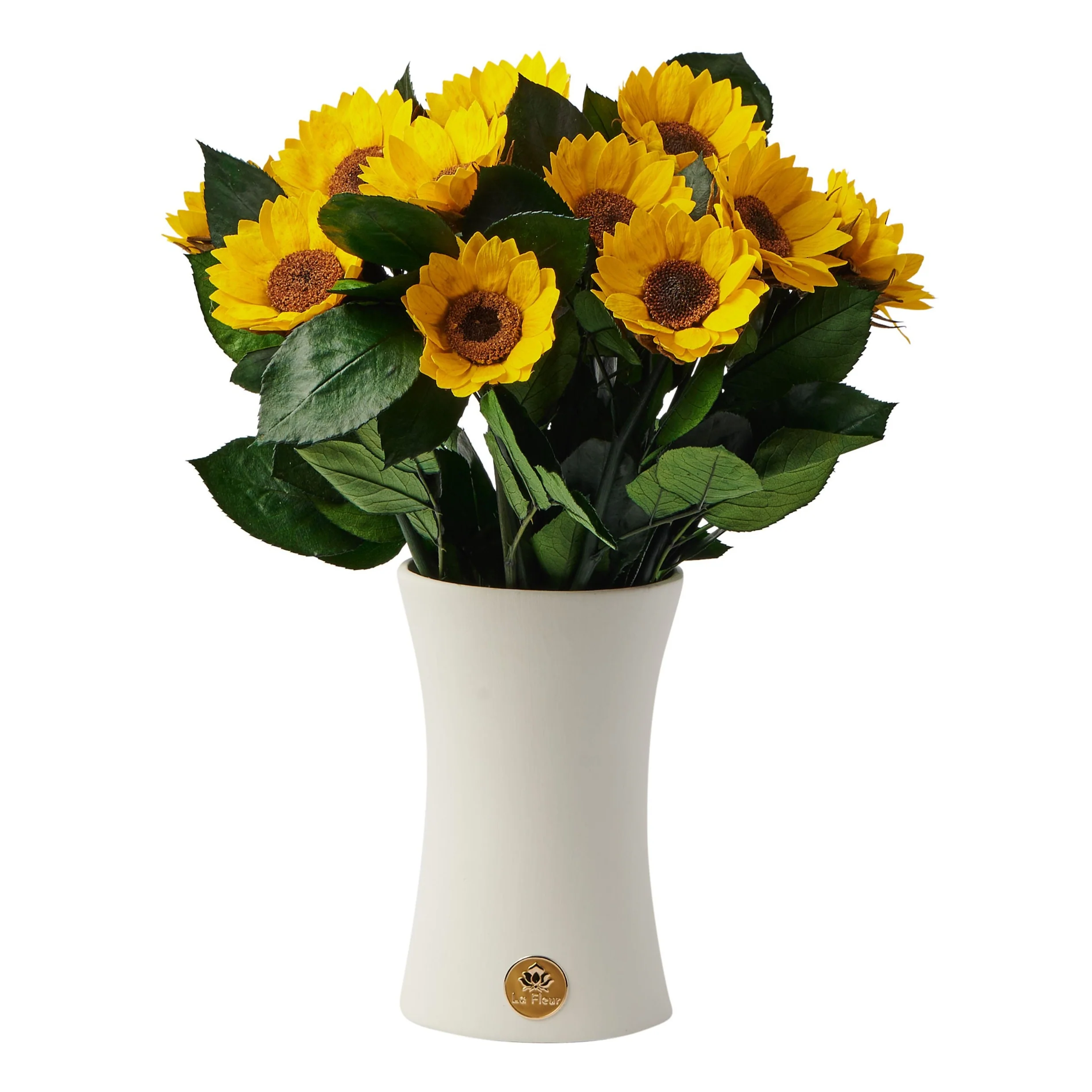 Creme Dozen Sunflowers