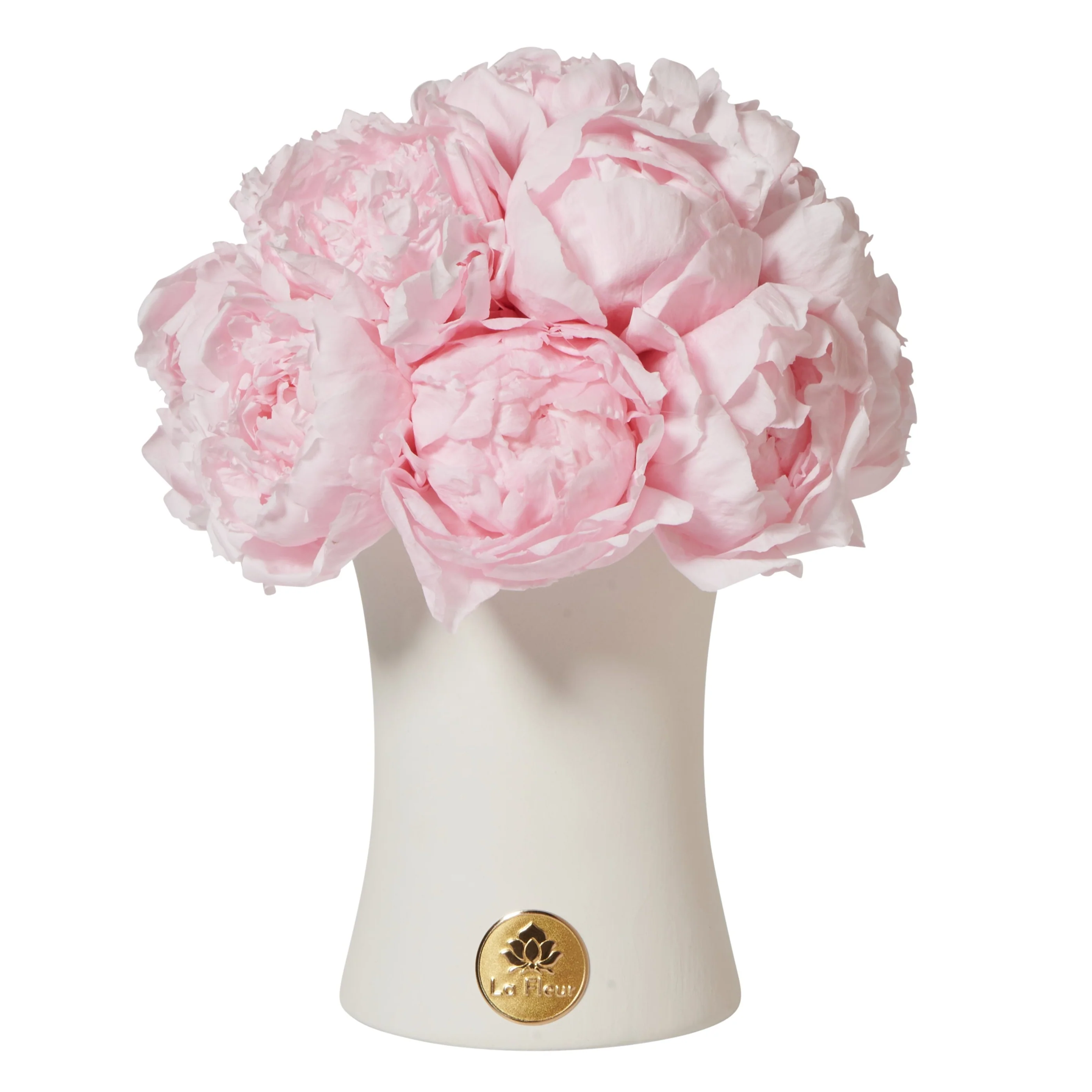 Creme Peony Dôme