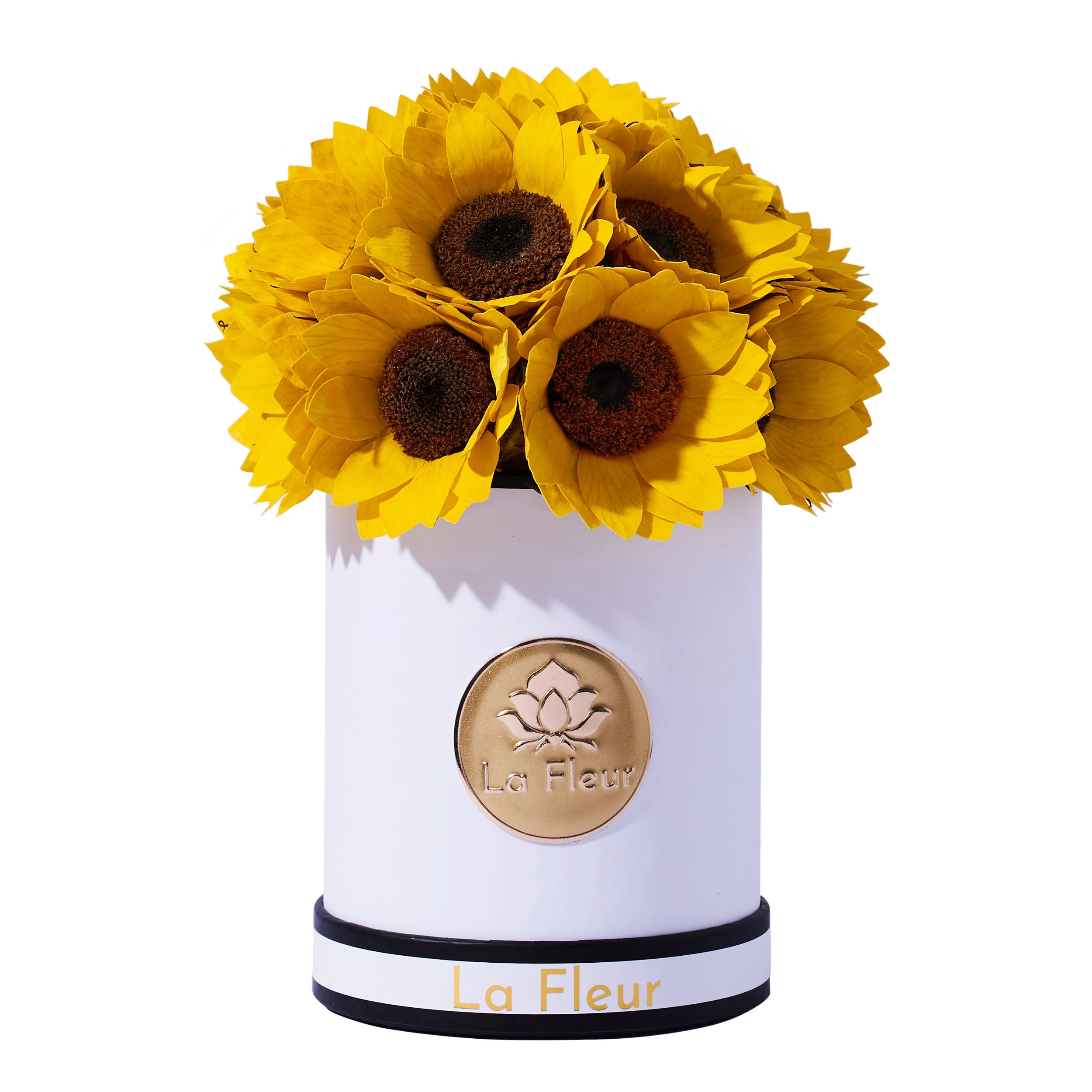 Sunflower Super Petit Dome