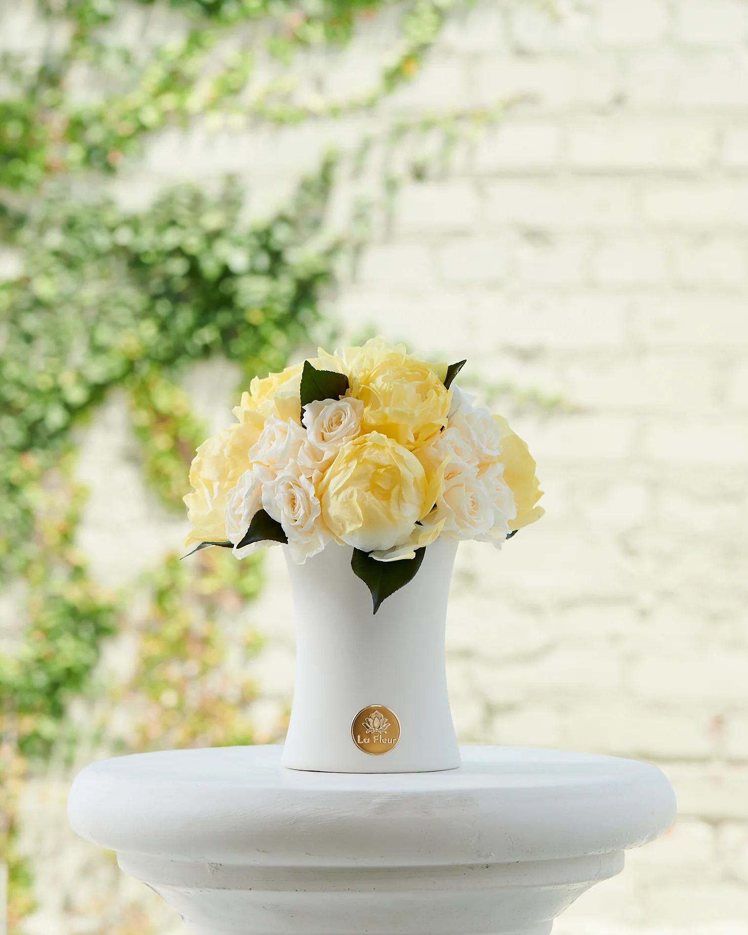 Creme Peony + Rose Dôme