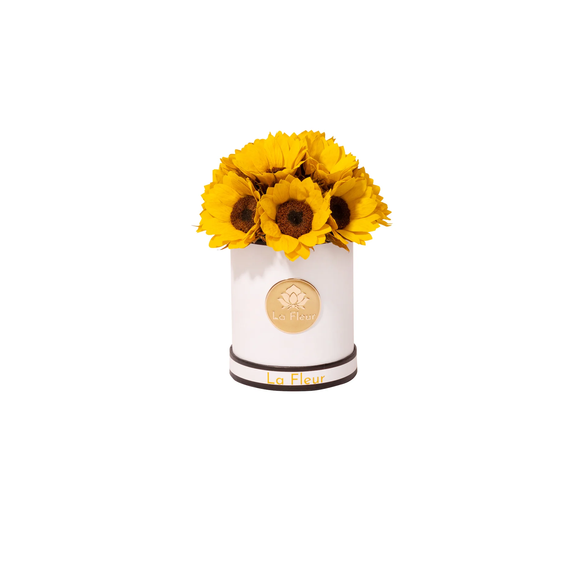 Sunflower Super Petit Dome