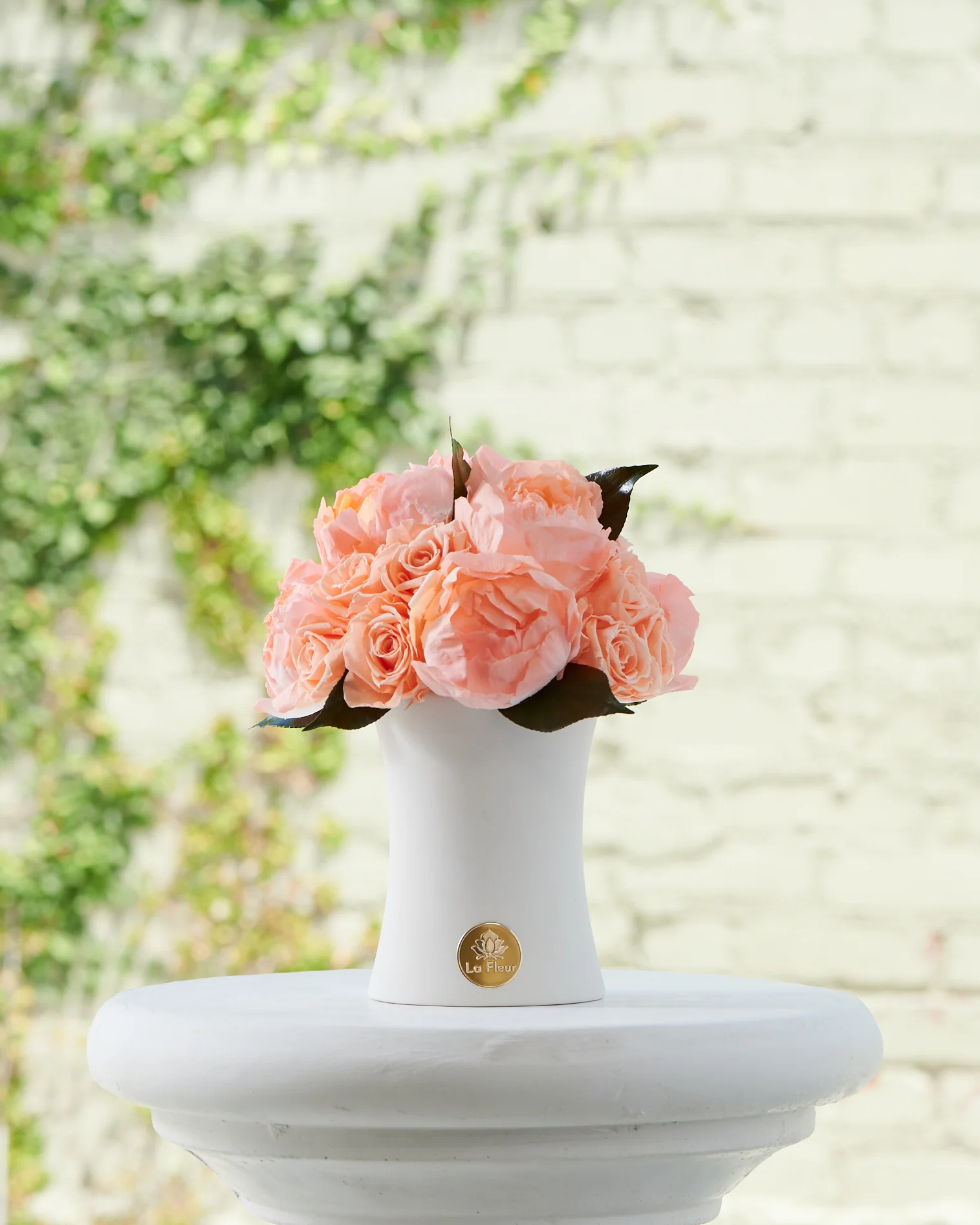 Creme Peony + Rose Dôme