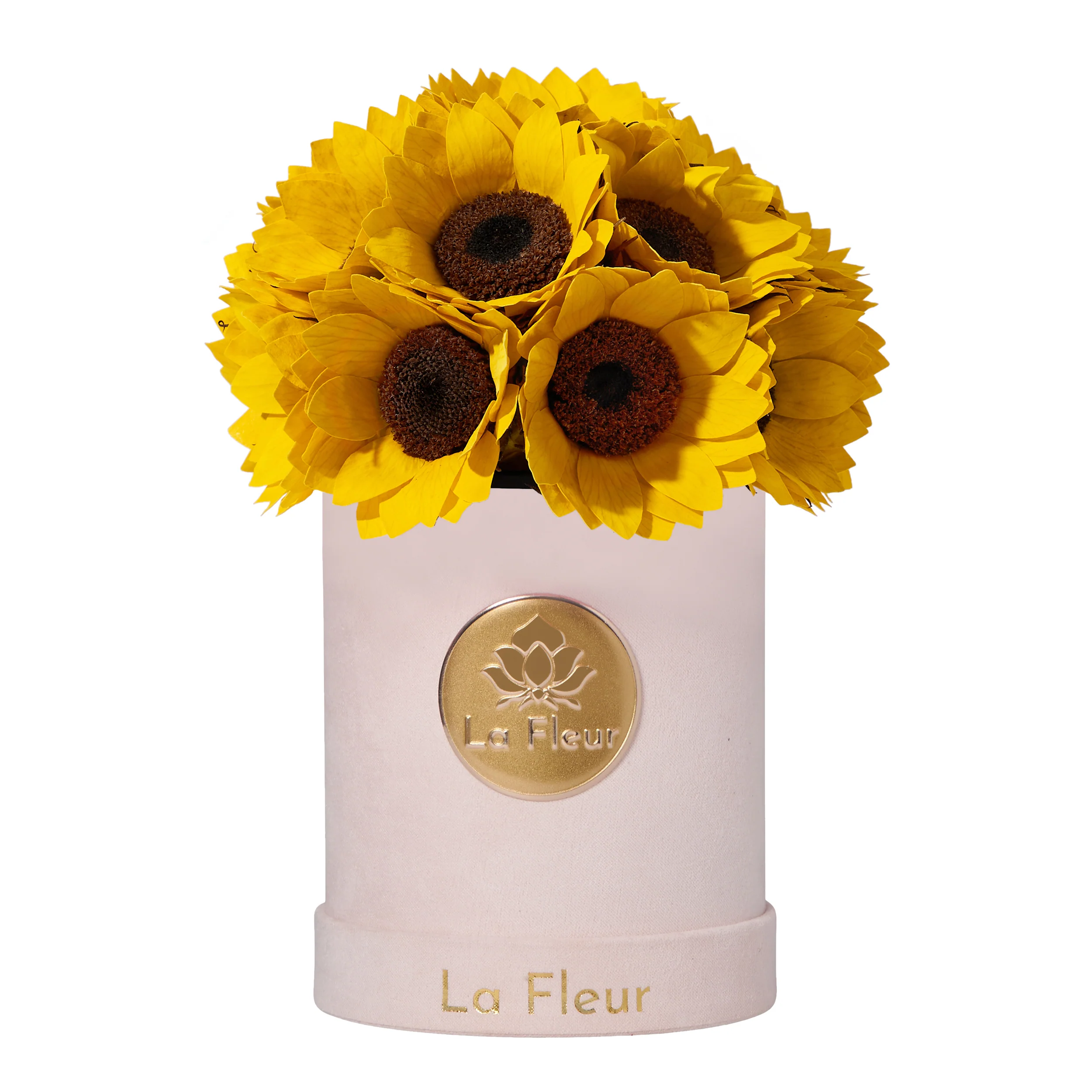 Sunflower Super Petit Dome