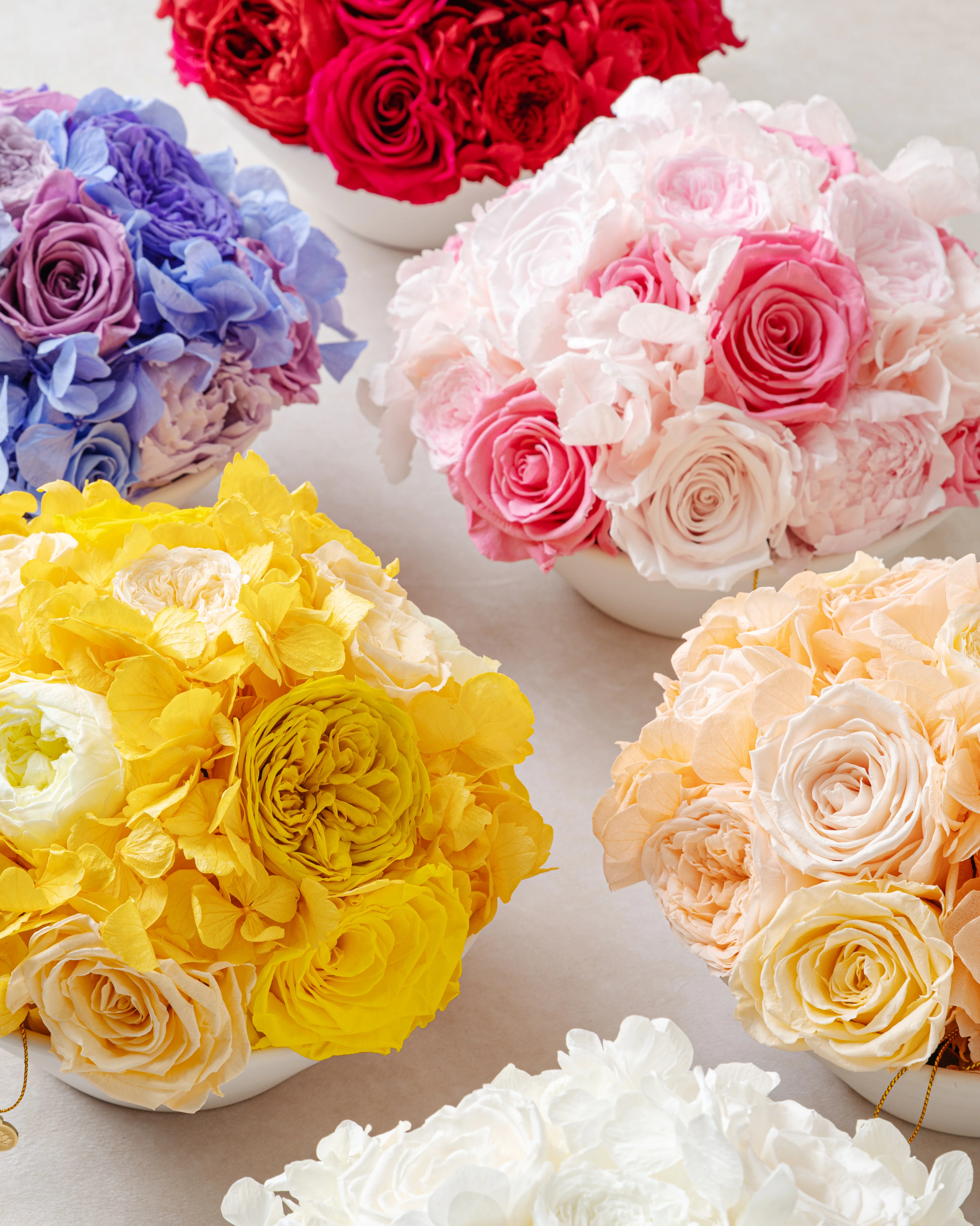 Jardin Bowl - Purple