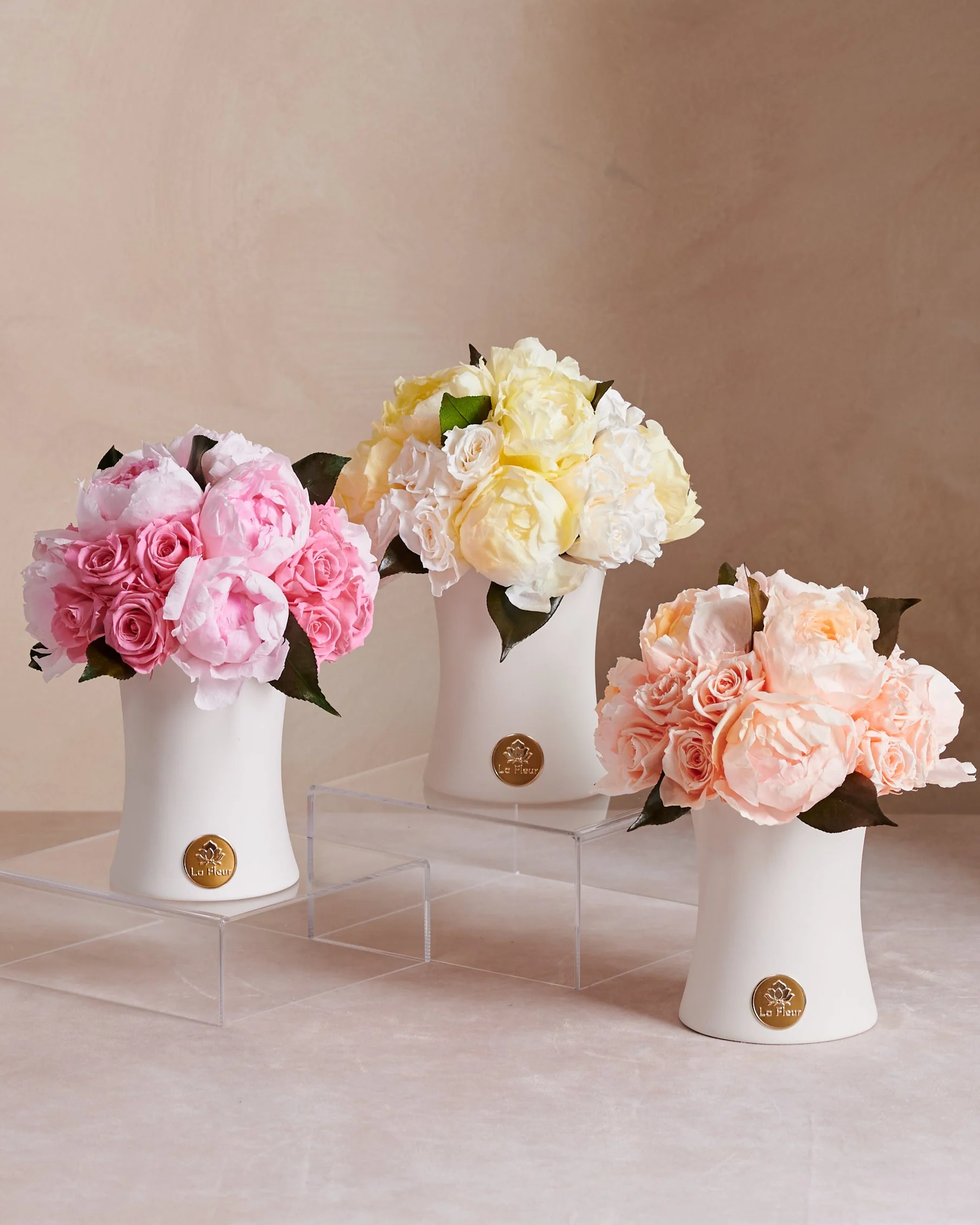 Creme Peony + Rose Dôme