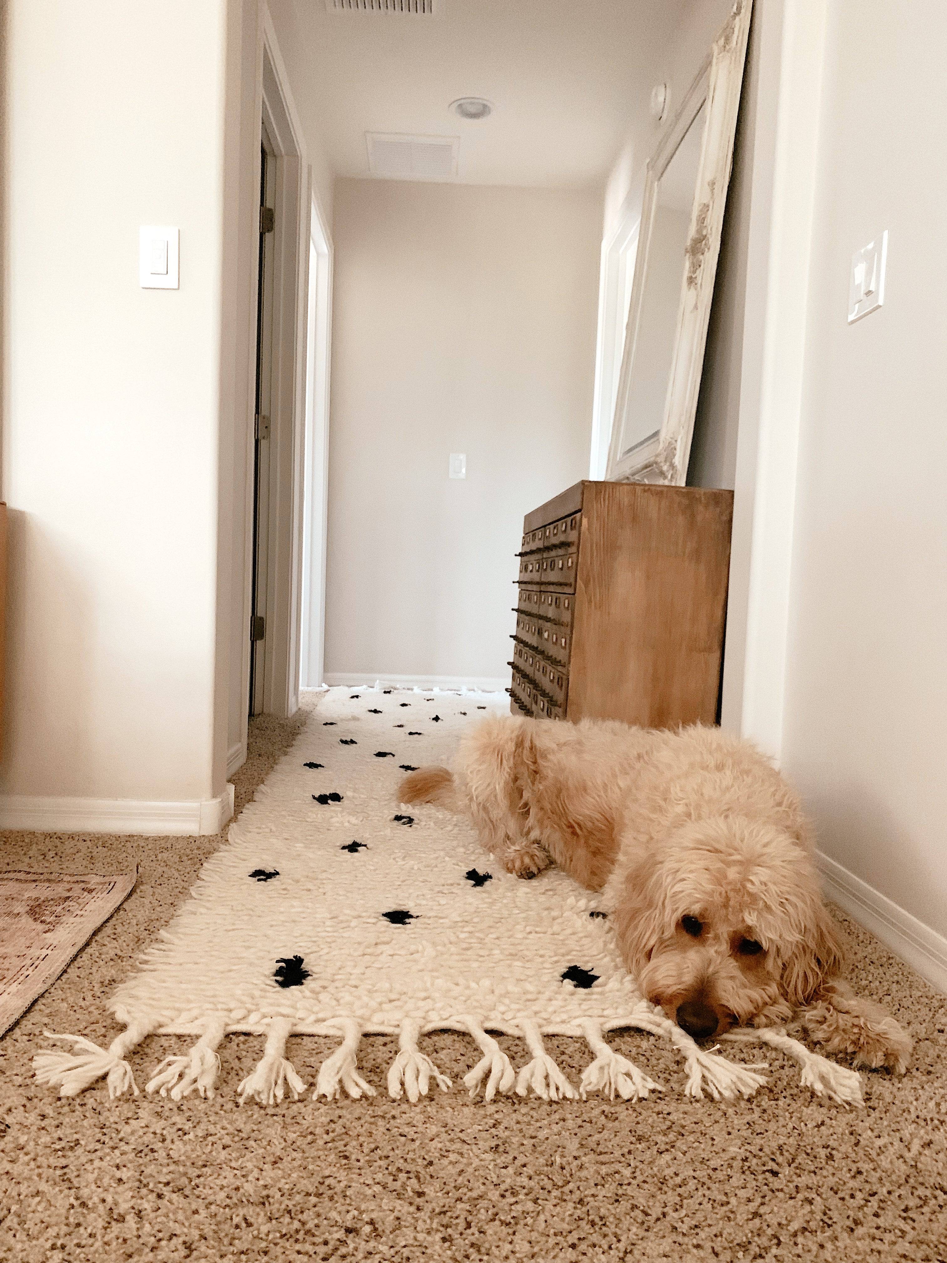 Holly Handwoven Berber Luxurious & Plush Polka Dot Wool Rug