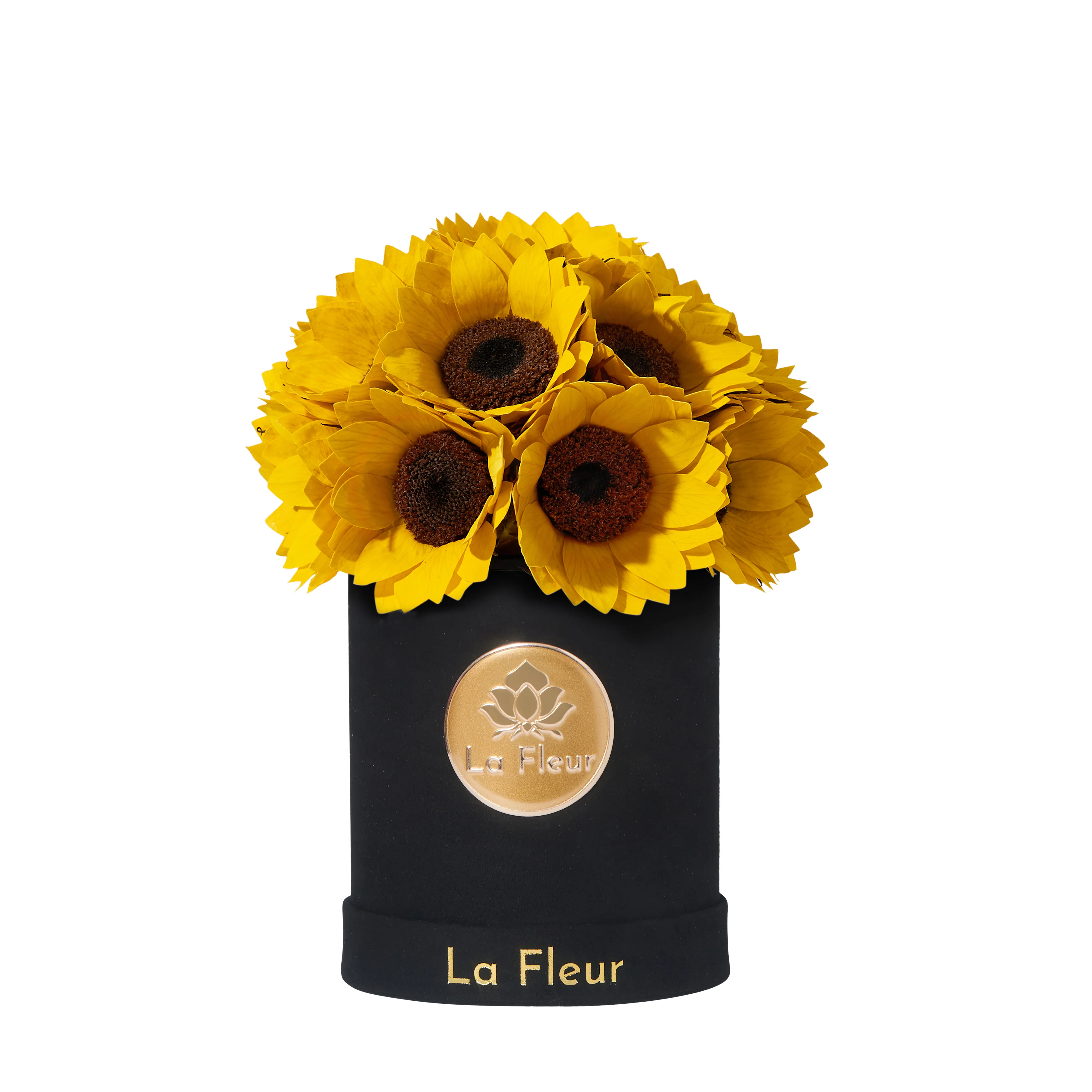 Sunflower Super Petit Dome