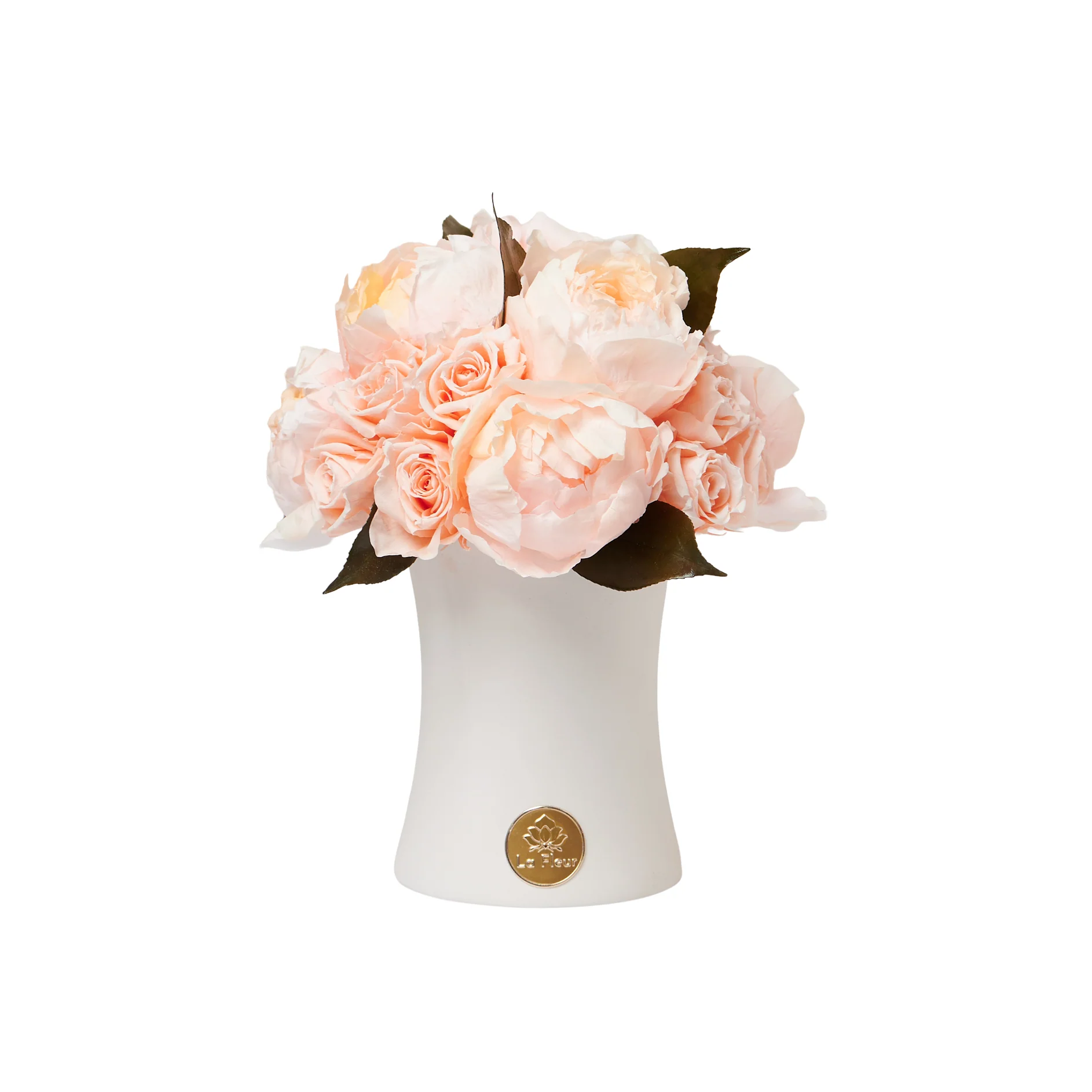 Creme Peony + Rose Dôme