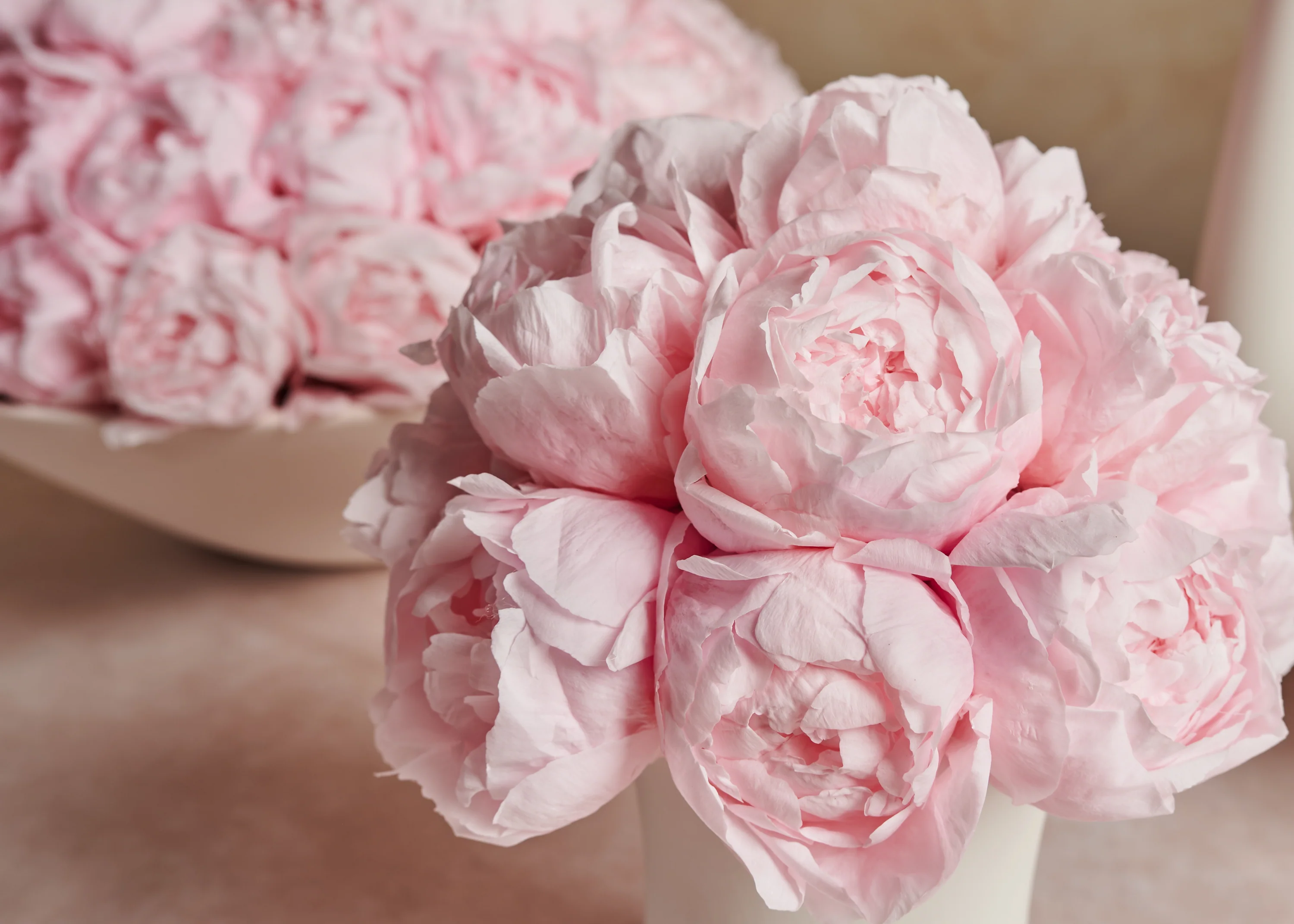Creme Peony Dôme