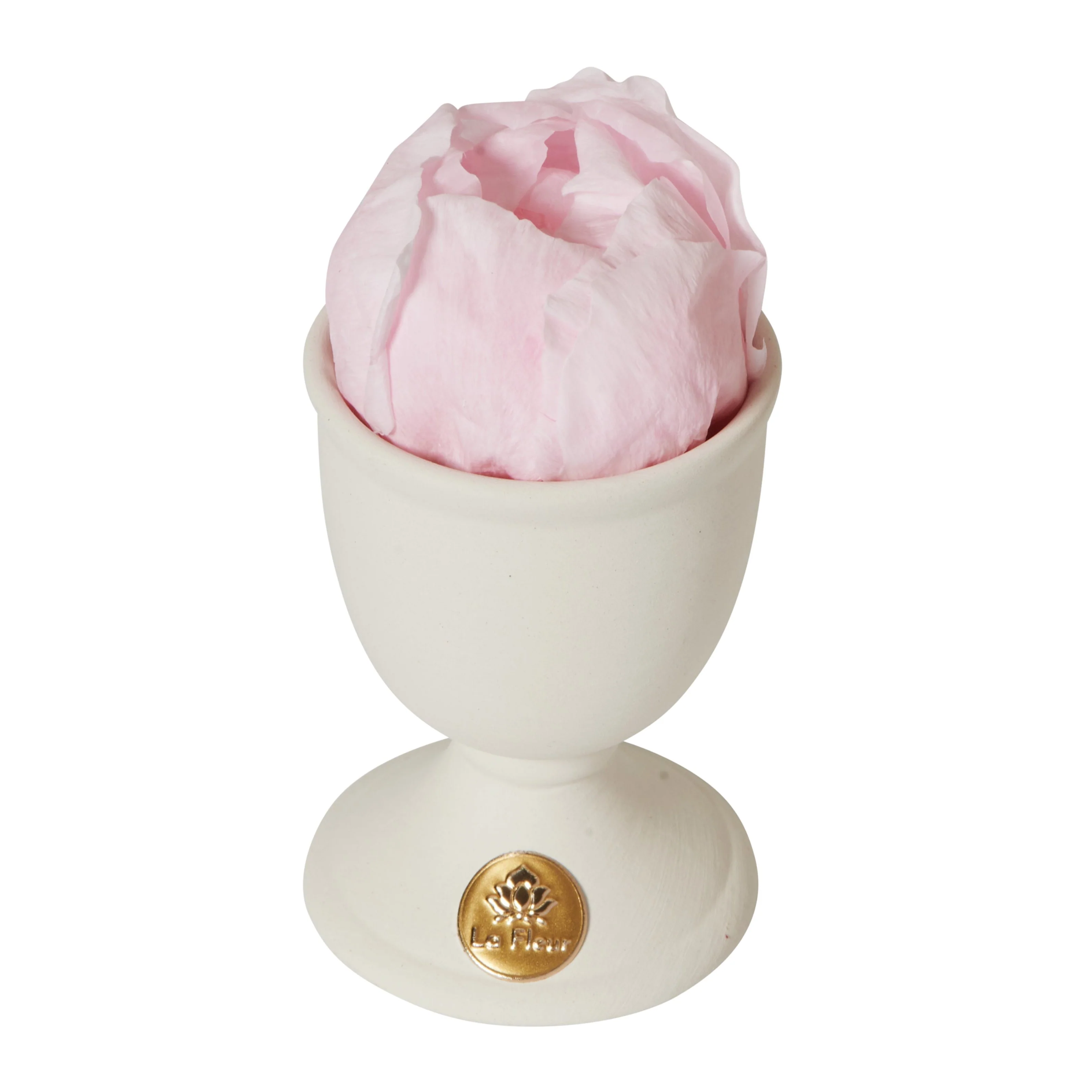 Creme Peony Mini