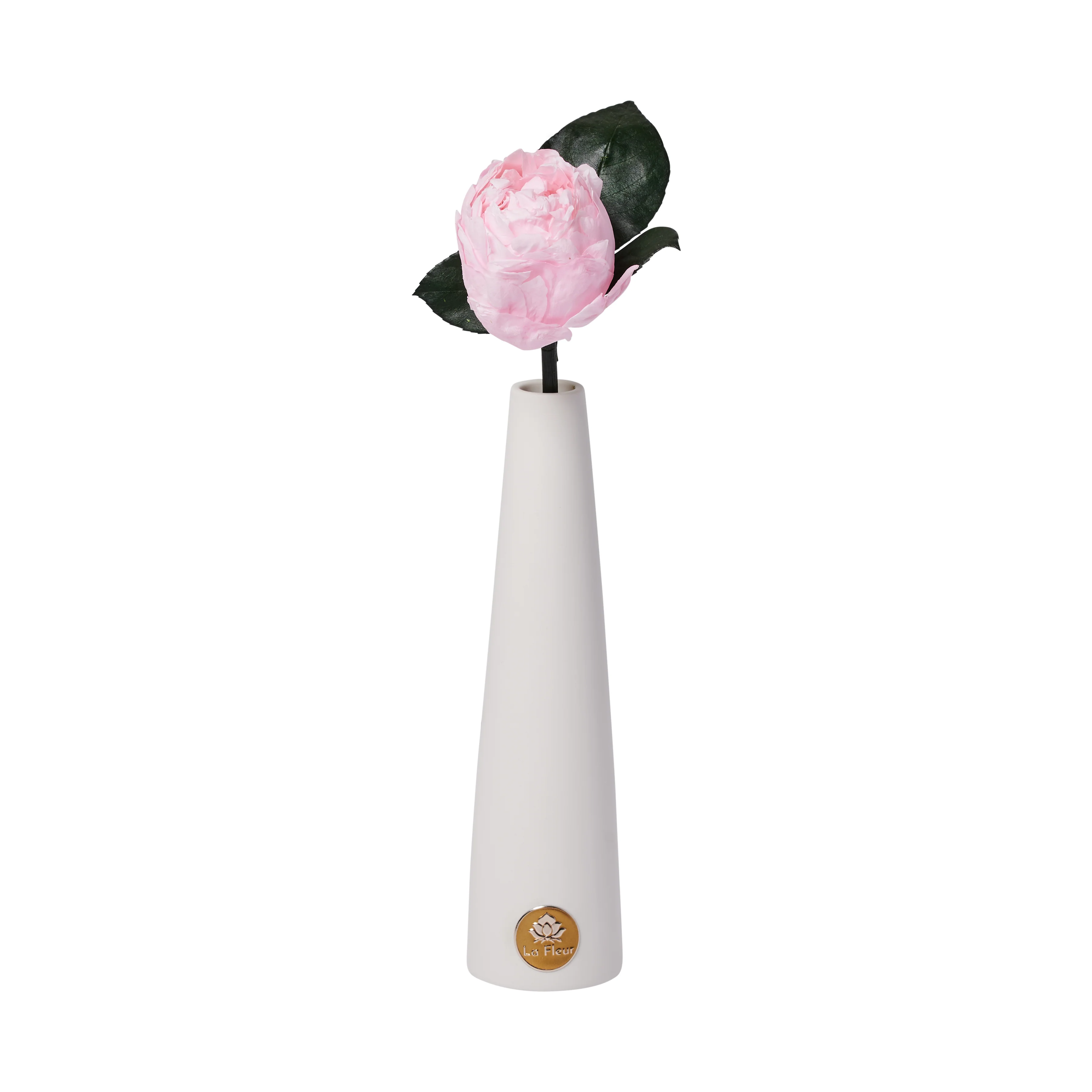 Peony Single Stem