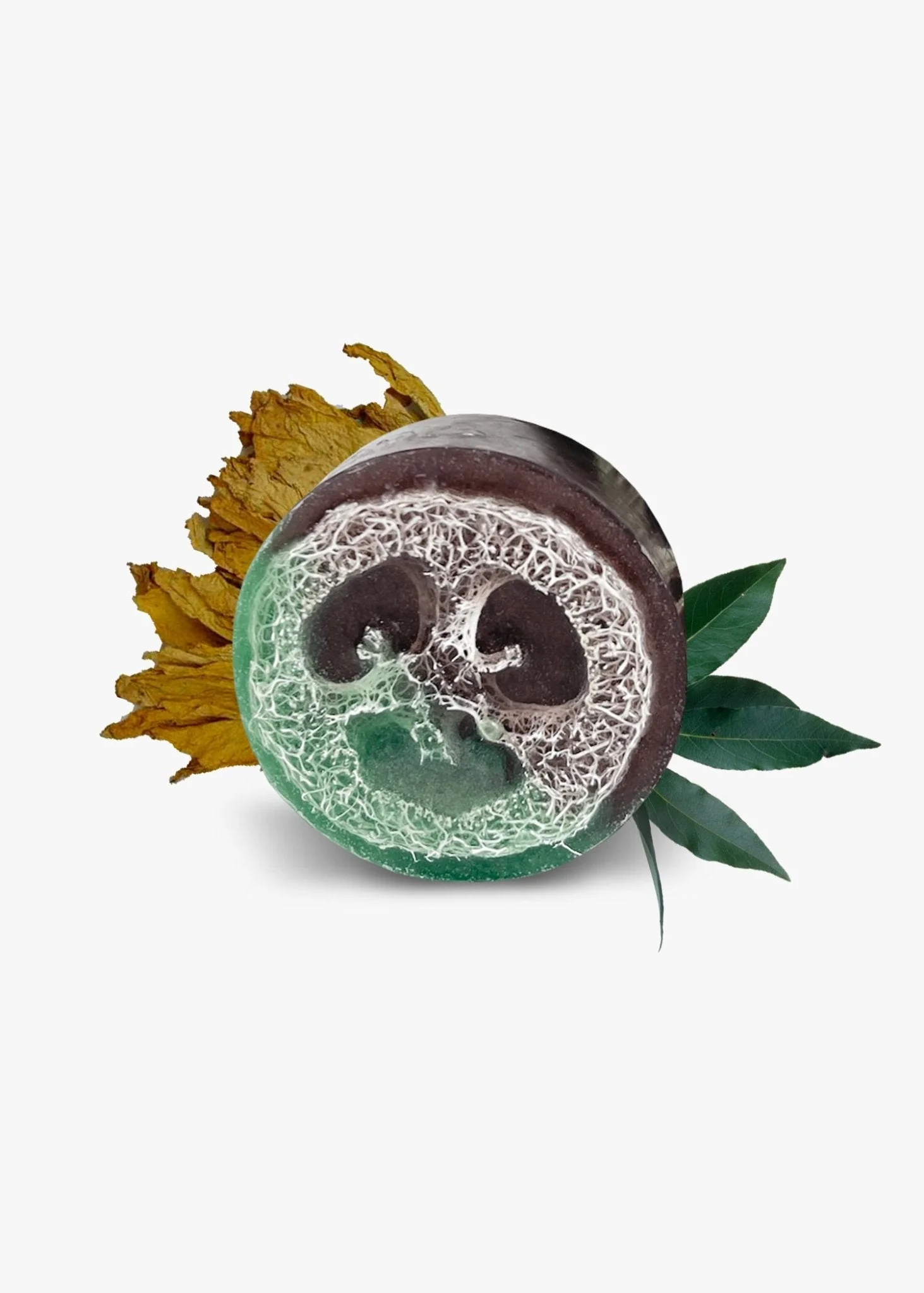 INFUSIONS Loofah Soap Collection