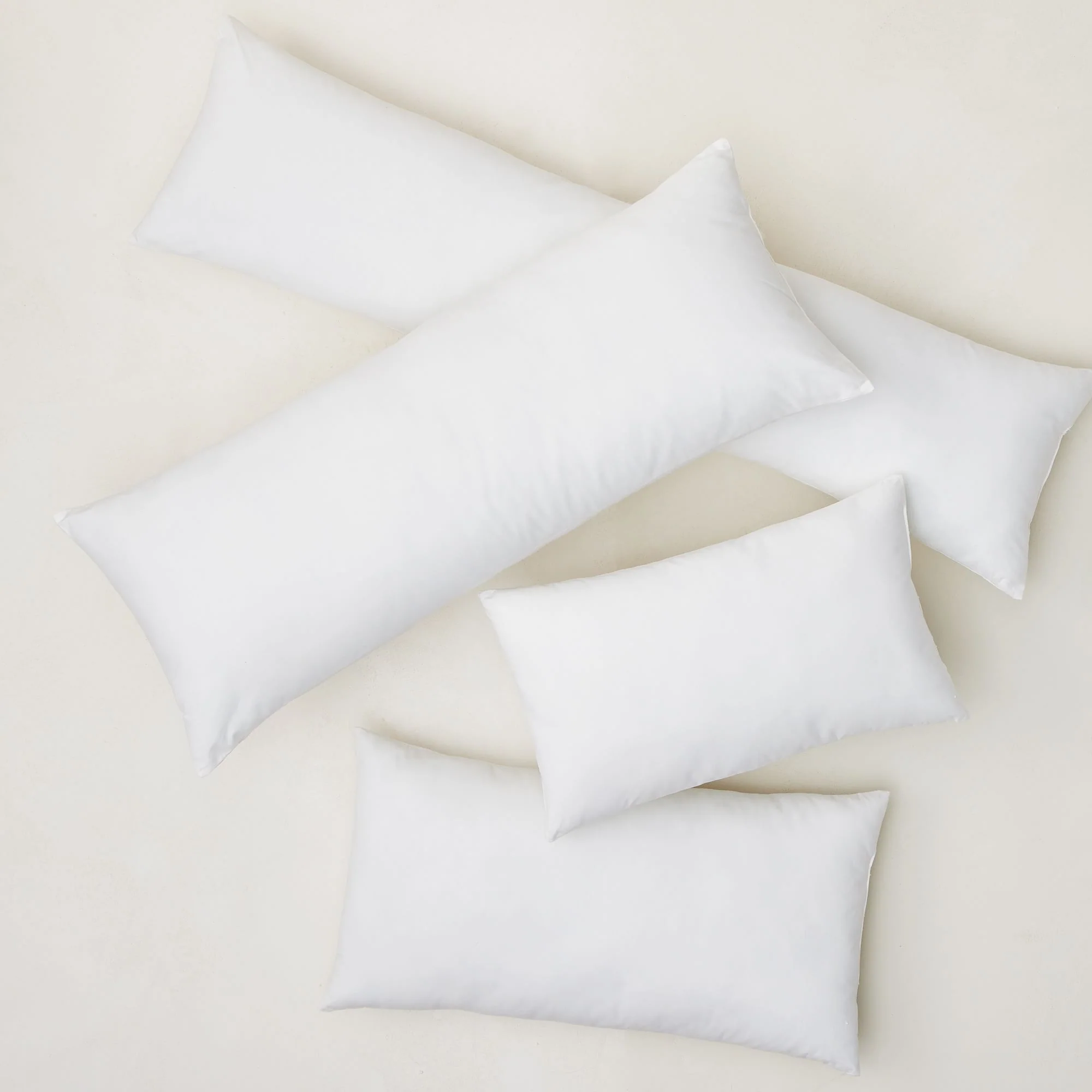 West Elm Feather Down Pillow Inserts