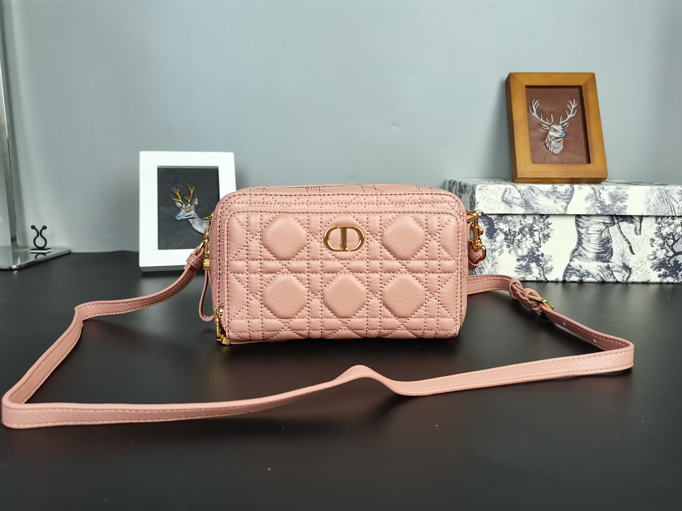Dior Caro