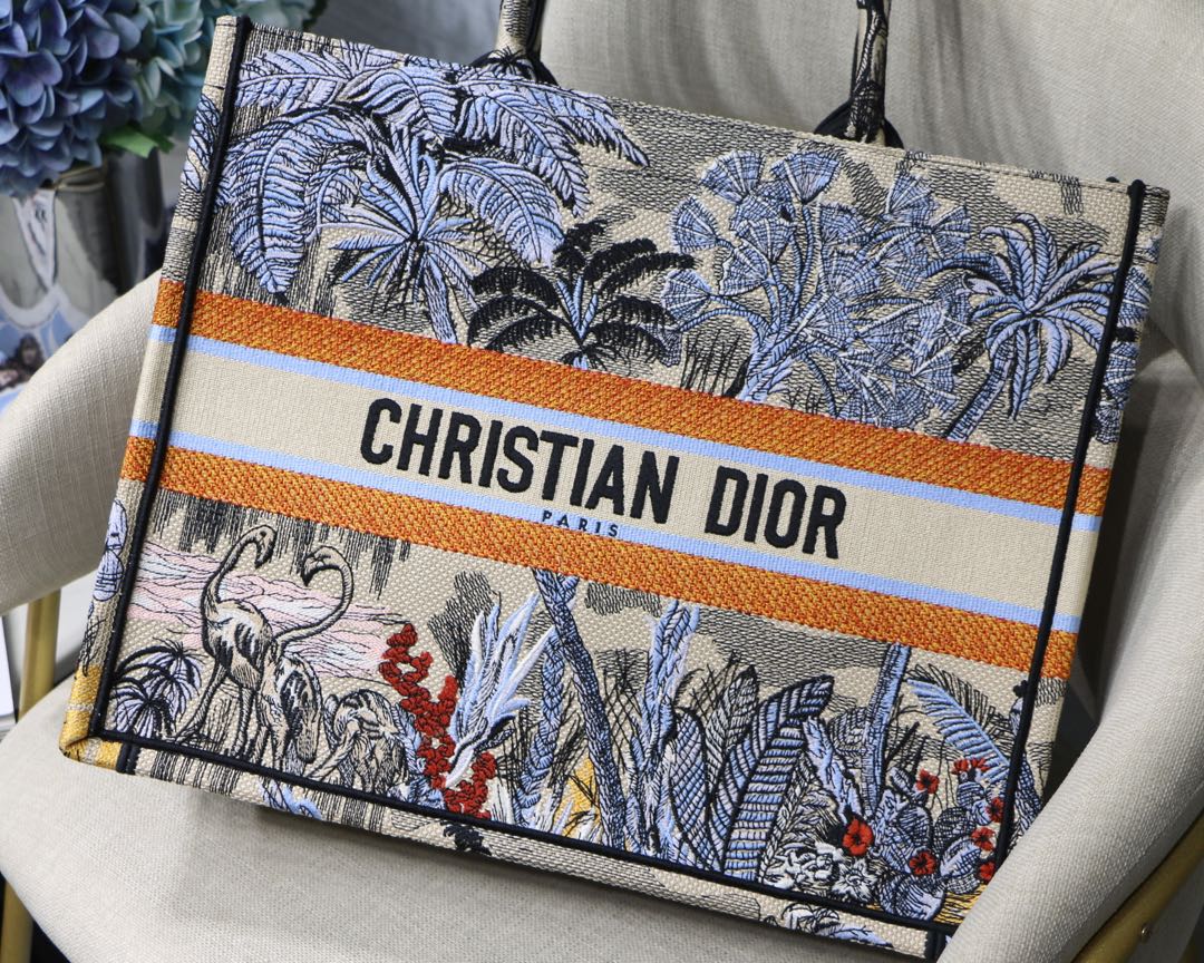 Dior Book Tote