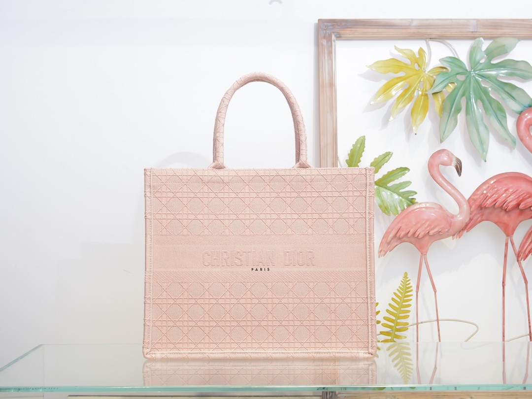 Dior Book Tote
