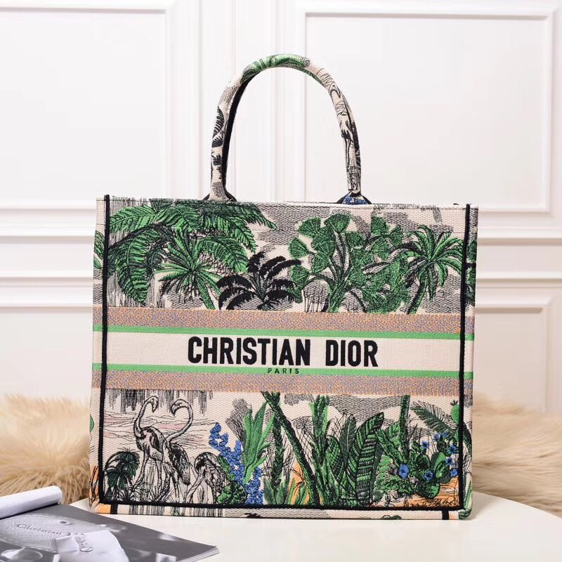Dior Book Tote