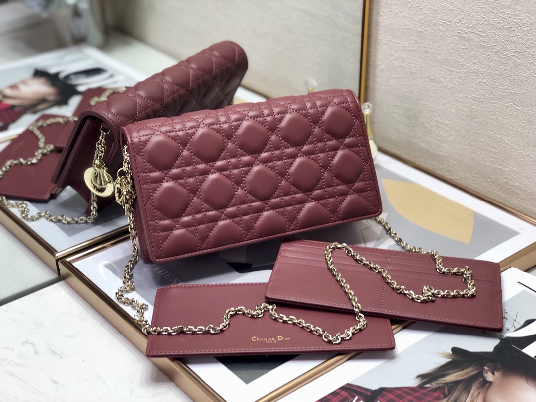 Dior Lingge Bag