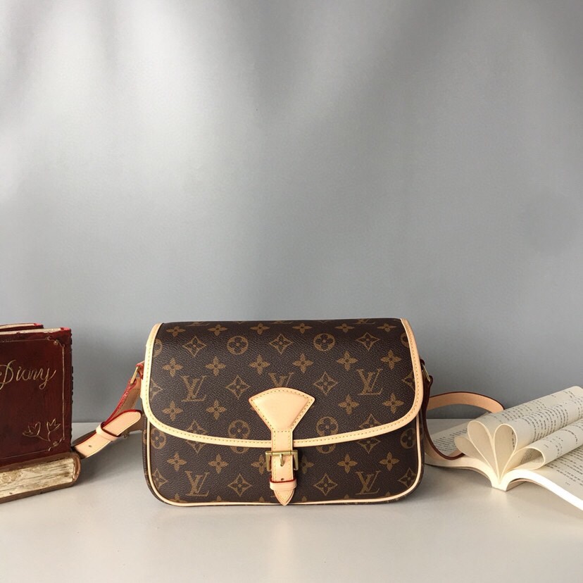 Louis Vuitton Sologne Monogram Shoulder Bag