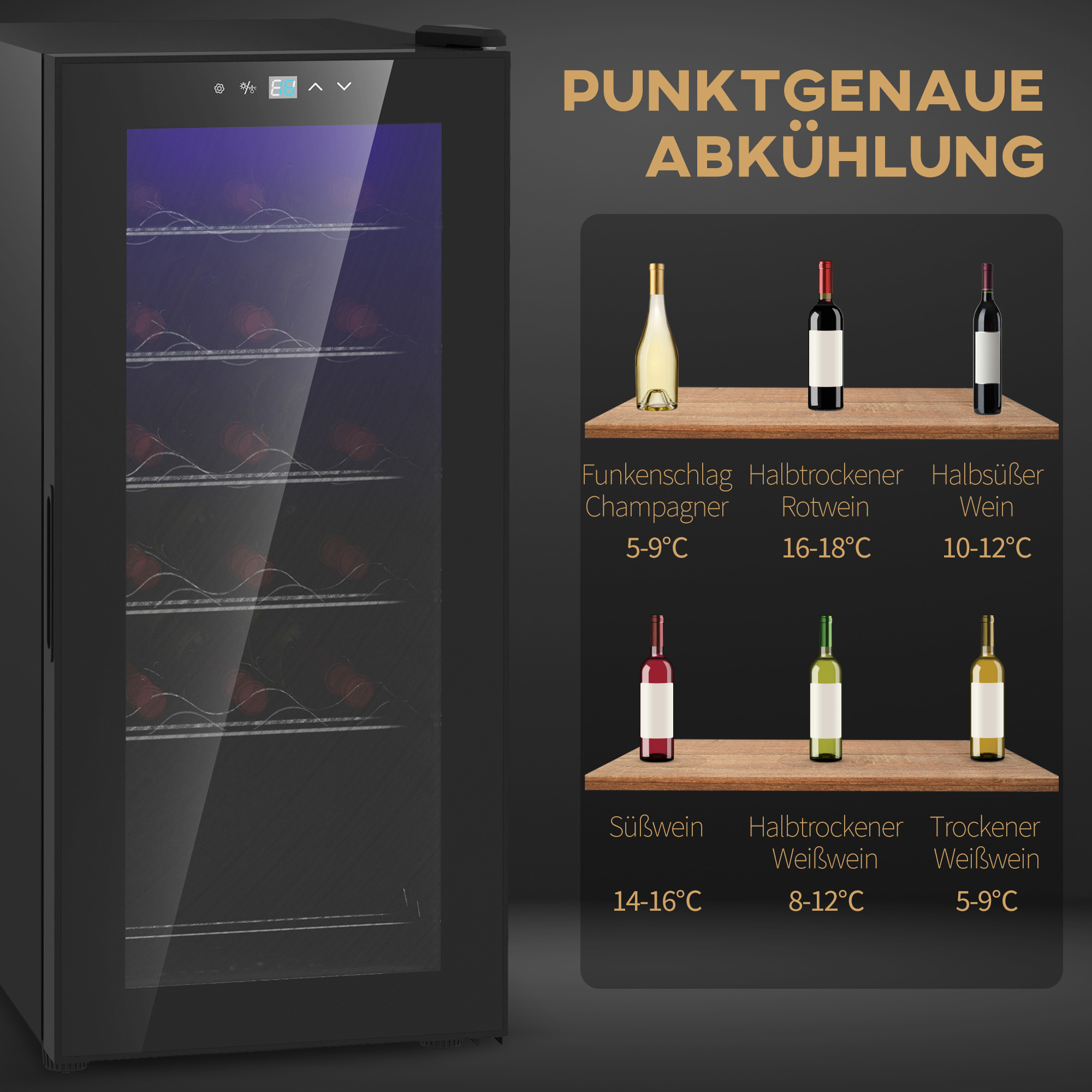 HOMCOM Wijnkoelkast, Stil, 5-18°C, Touchscreen, Verlichting, 34,5x45x78cm, Zwart