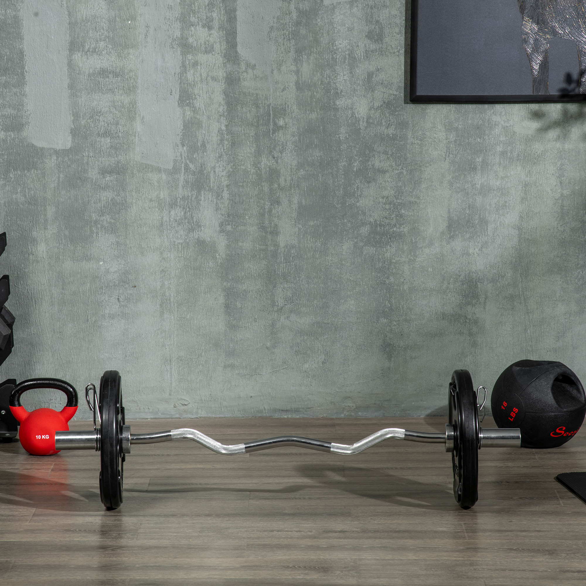 SPORTNOW Halterschijf, 2-delige Set, 15 kg per Schijf, Drie Handgrepen, Vloerbeschermende Rubberen Jas, Metaal