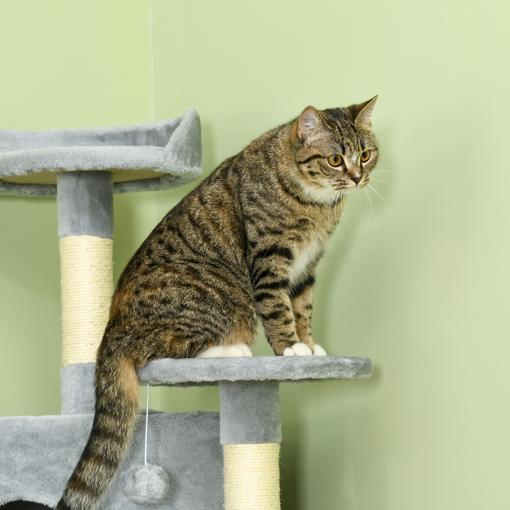 PawHut Krabpaal met 2 Hangmatten en 2 Kattenholen, Inclusief Speelgoed, Pluche en Sisaltouw - Lichtgrijs