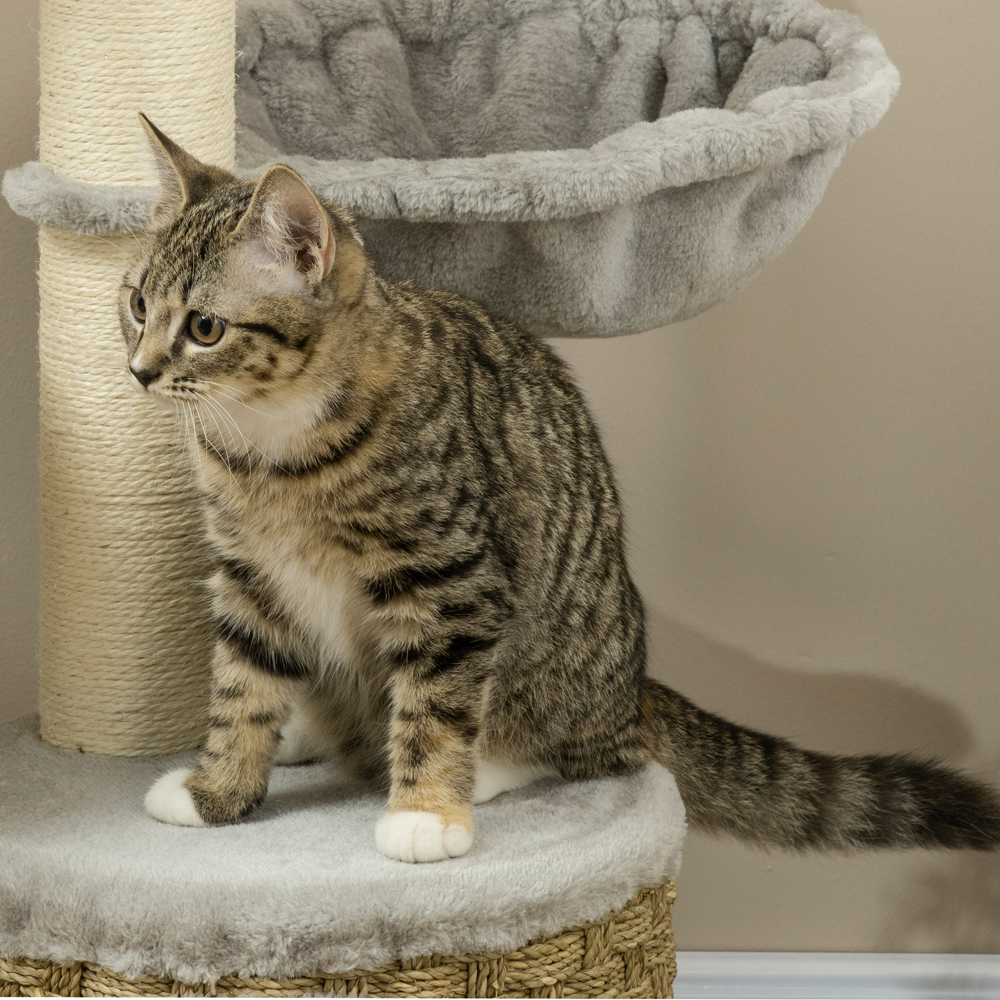 PawHut kattenboom met kattengrot, hangmat en 3 krabpalen 60 cm x 40 cm x 115,5 cm lichtgrijs