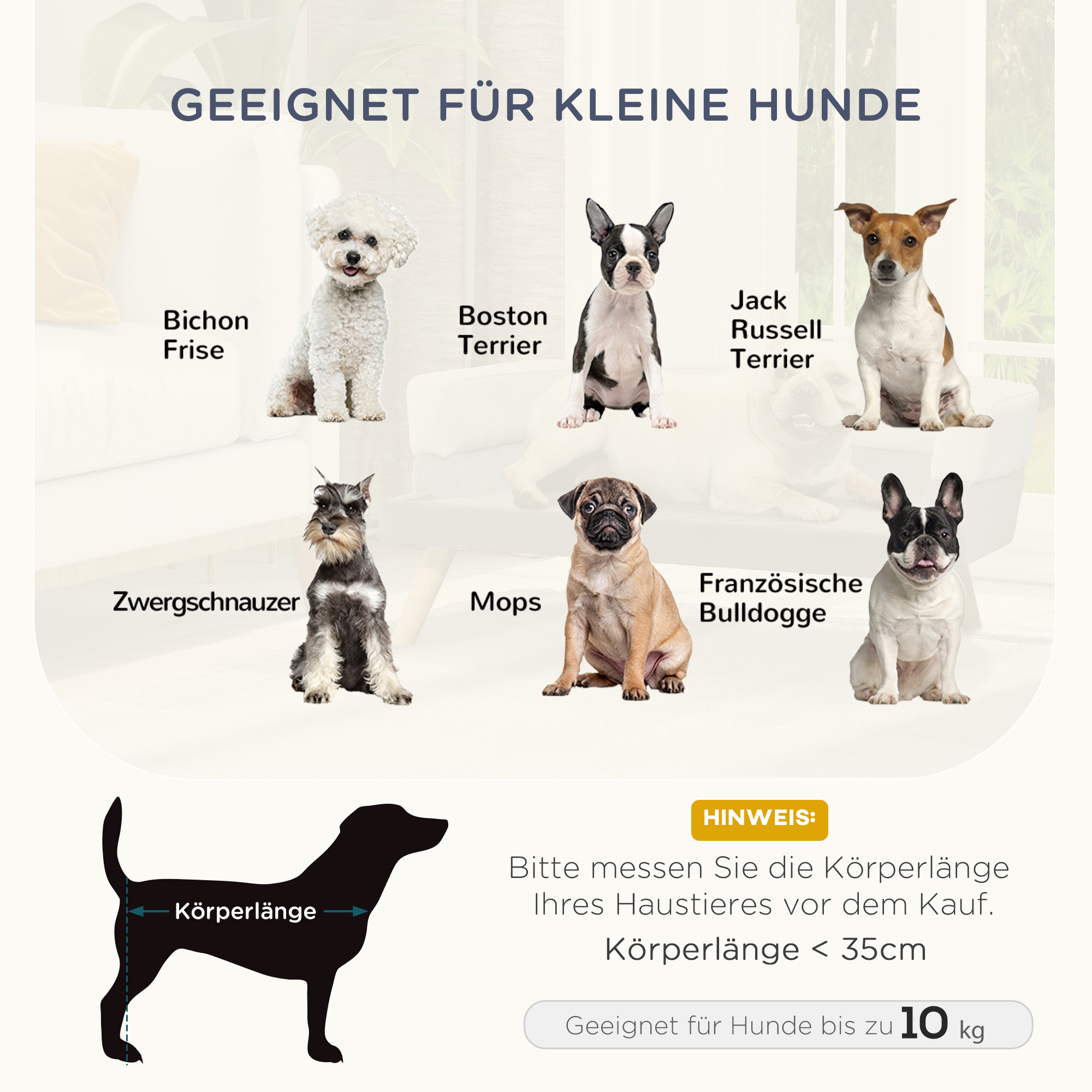 Hondenbank hondensofa katten honden berkenhout modern lichtgroen