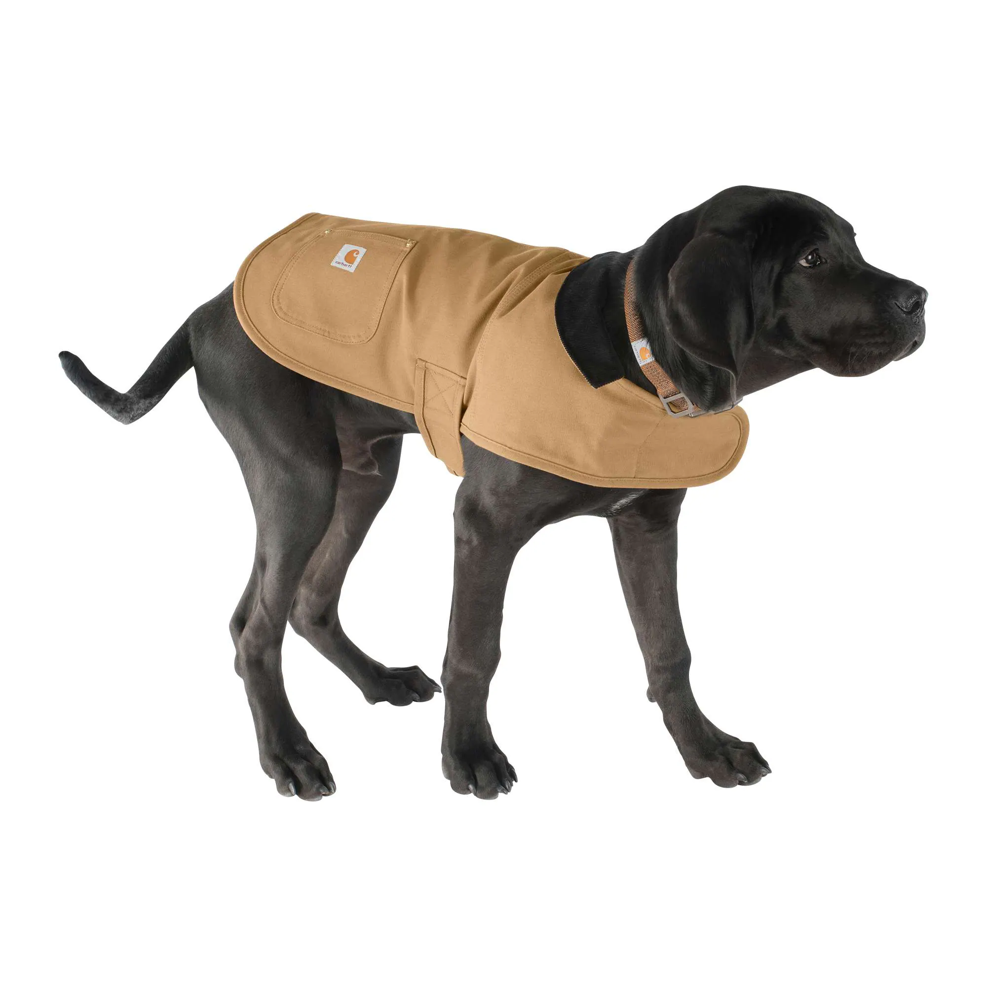 Dog Chore Coat