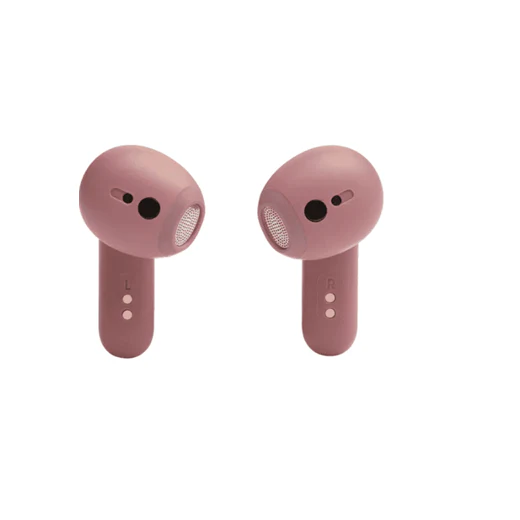 JBL Live Flex True wireless Noise Cancelling earbuds
