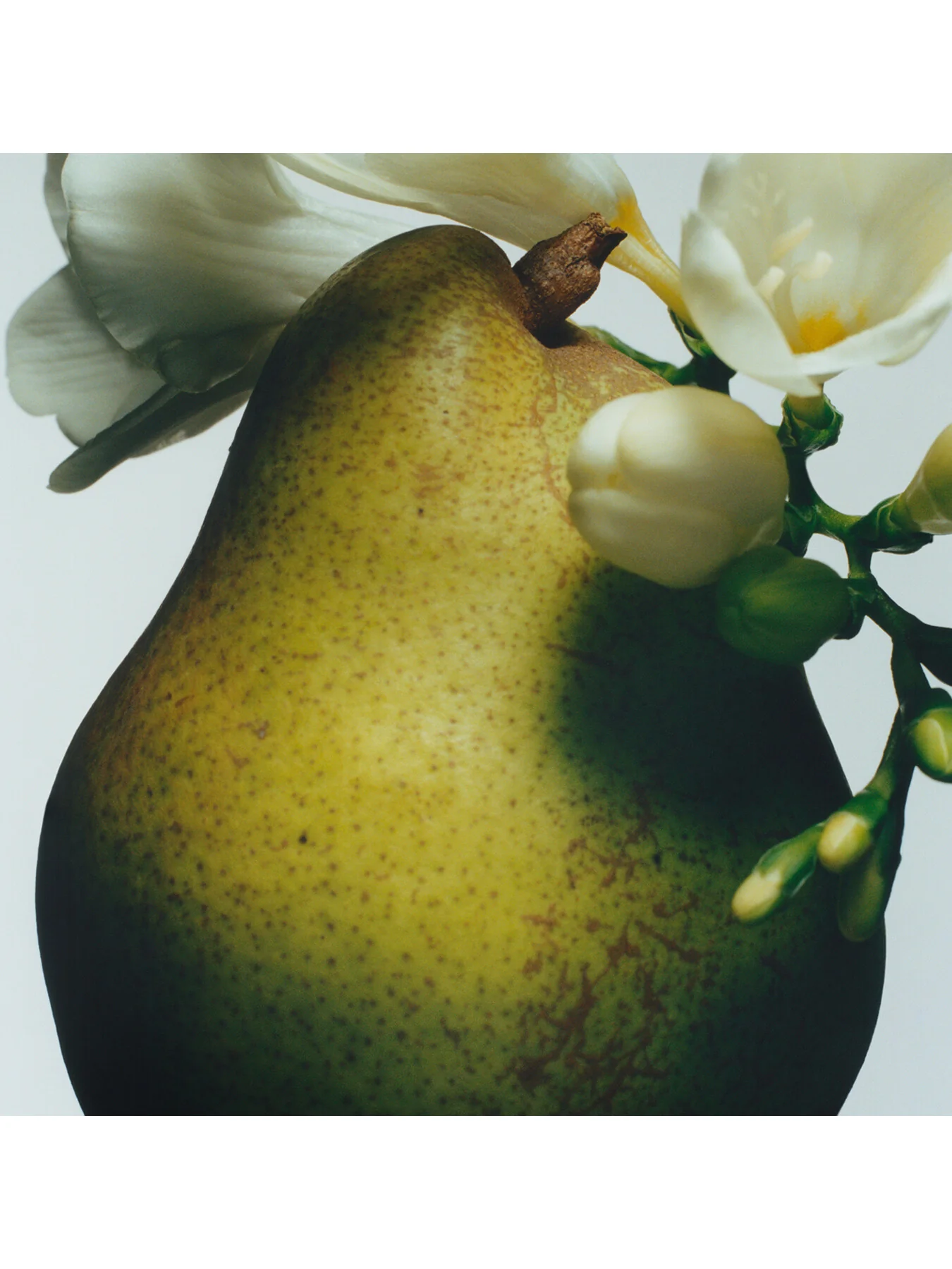 English Pear and Freesia Cologne 100ml