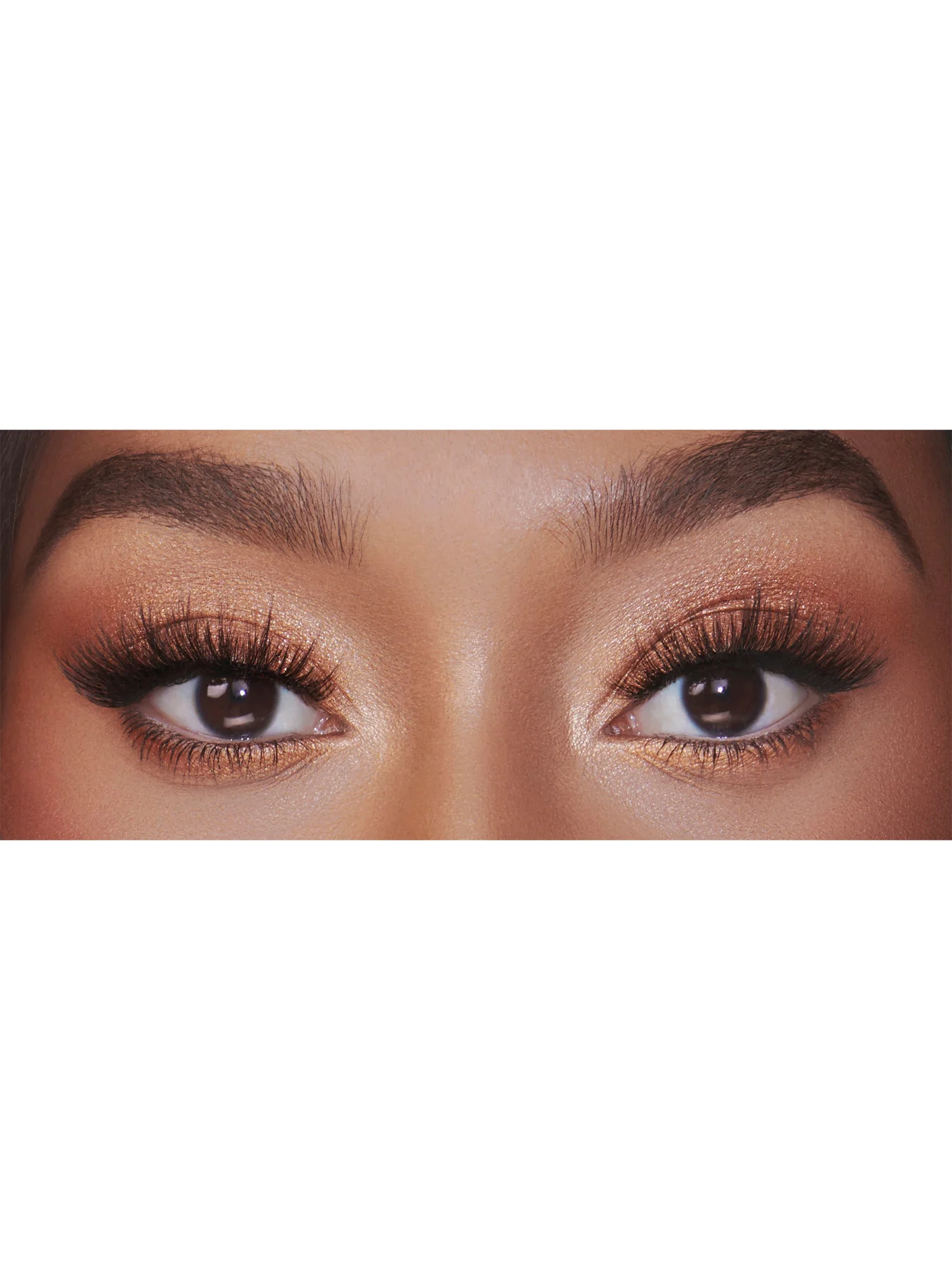 Luxury Palette