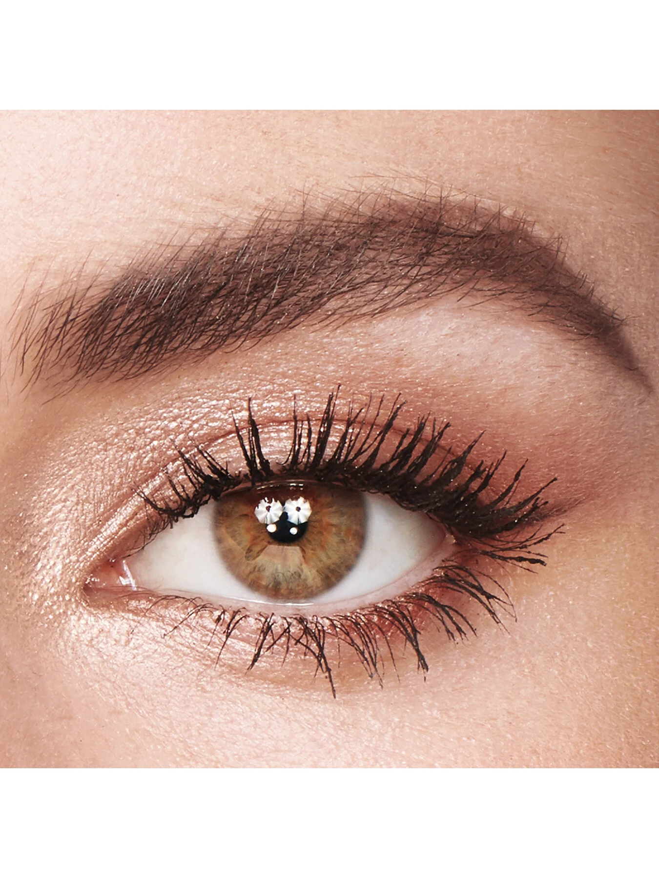 Bigger Brighter Eyes Palette