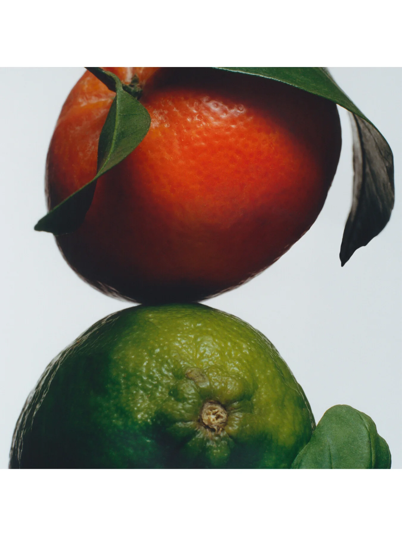 Lime Basil and Mandarin Cologne 100ml