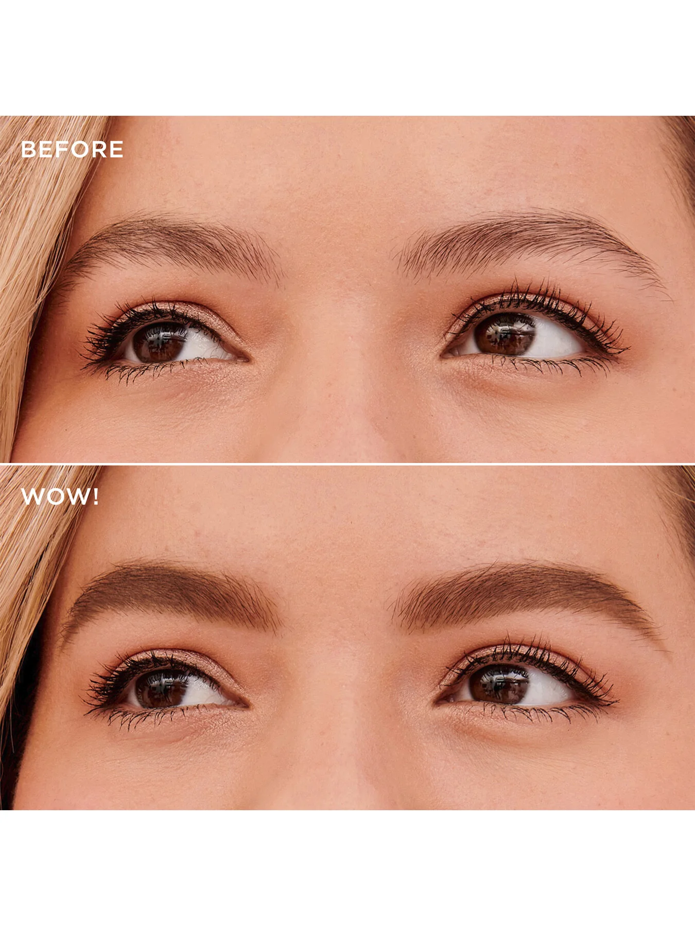Goof Proof Brow Powder