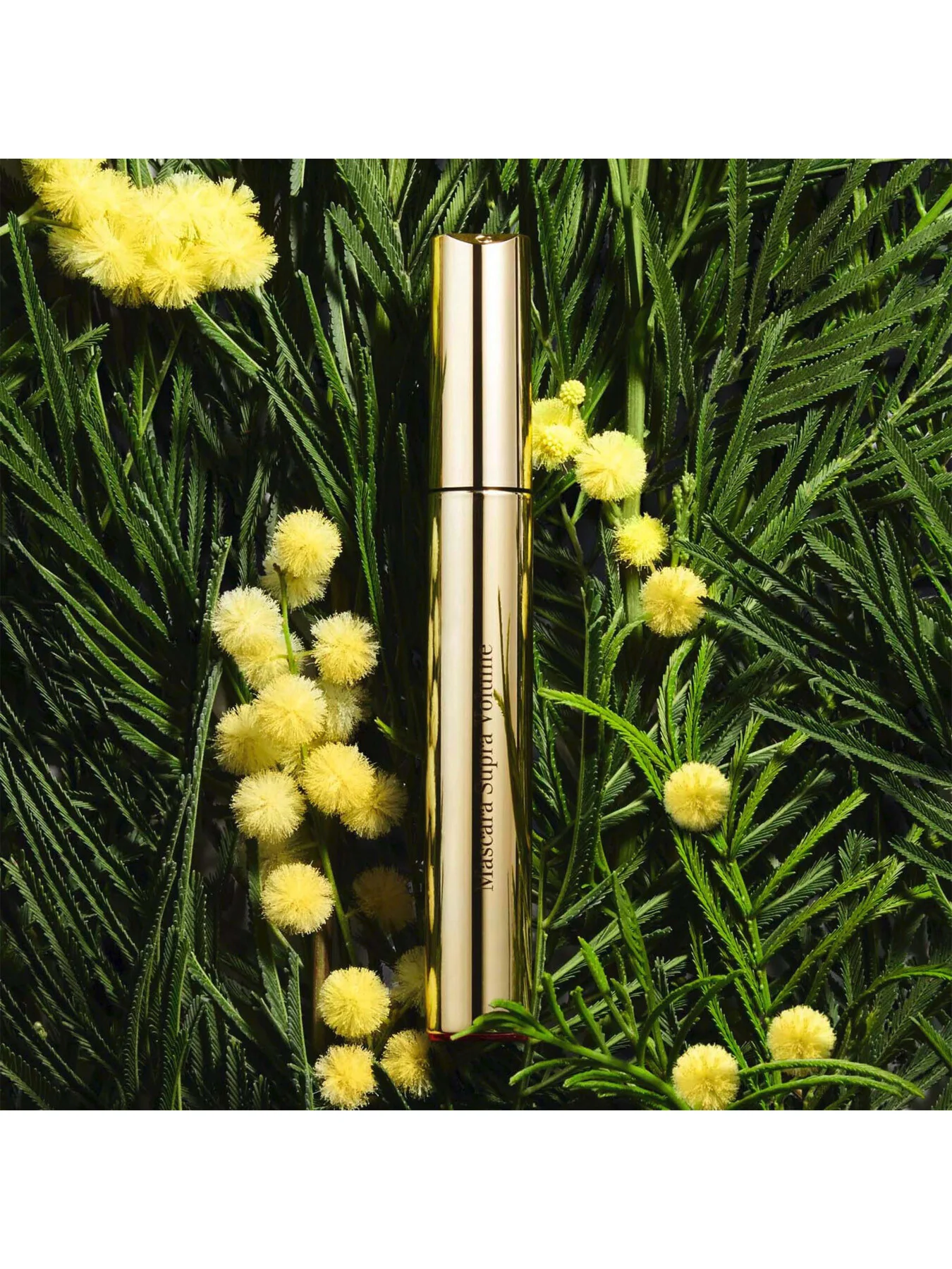 Supra Volume Mascara