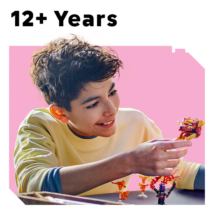 LEGO® 12  Years
